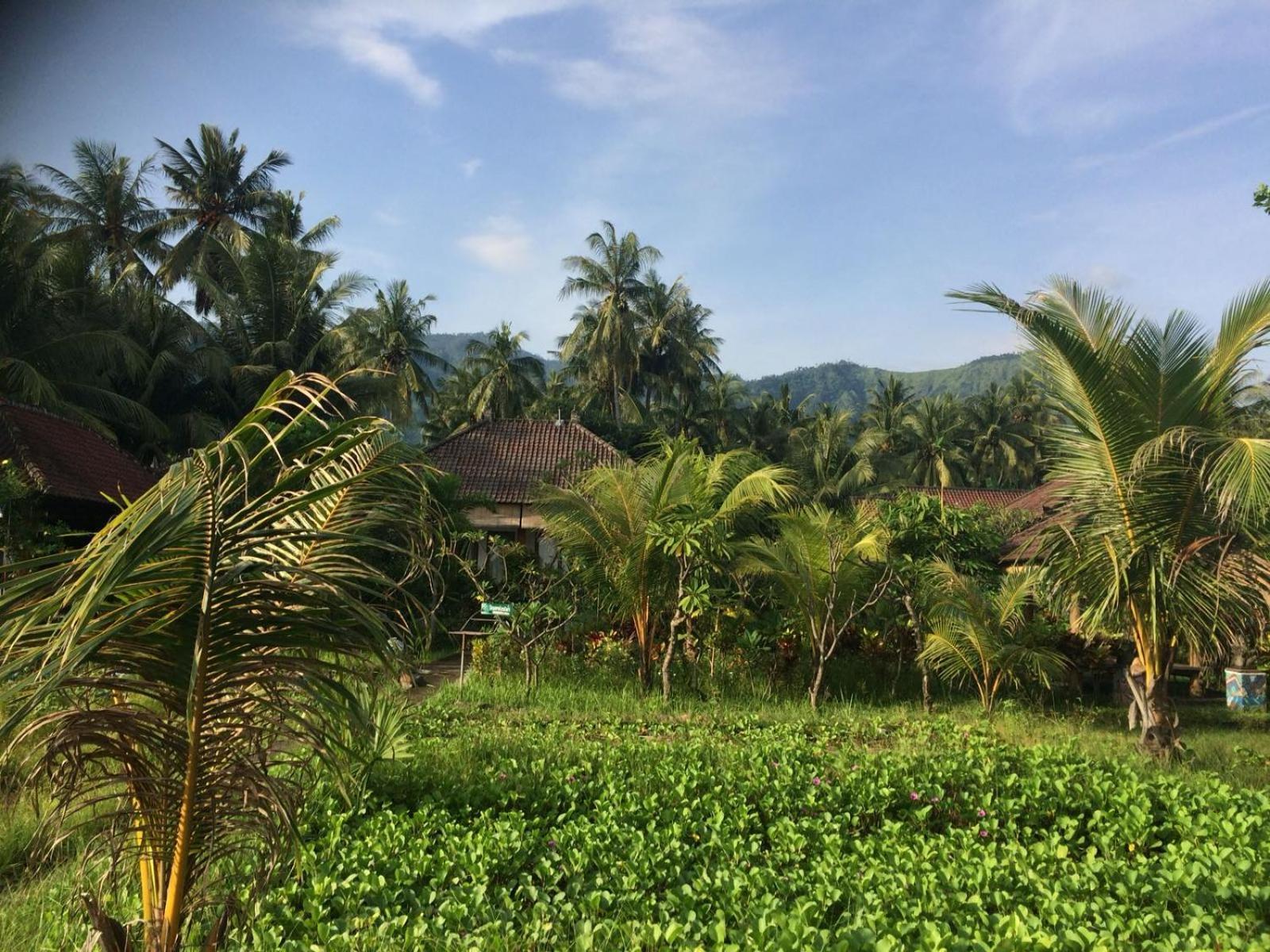 Bali Segara Lestari Oceanfront Guest house *