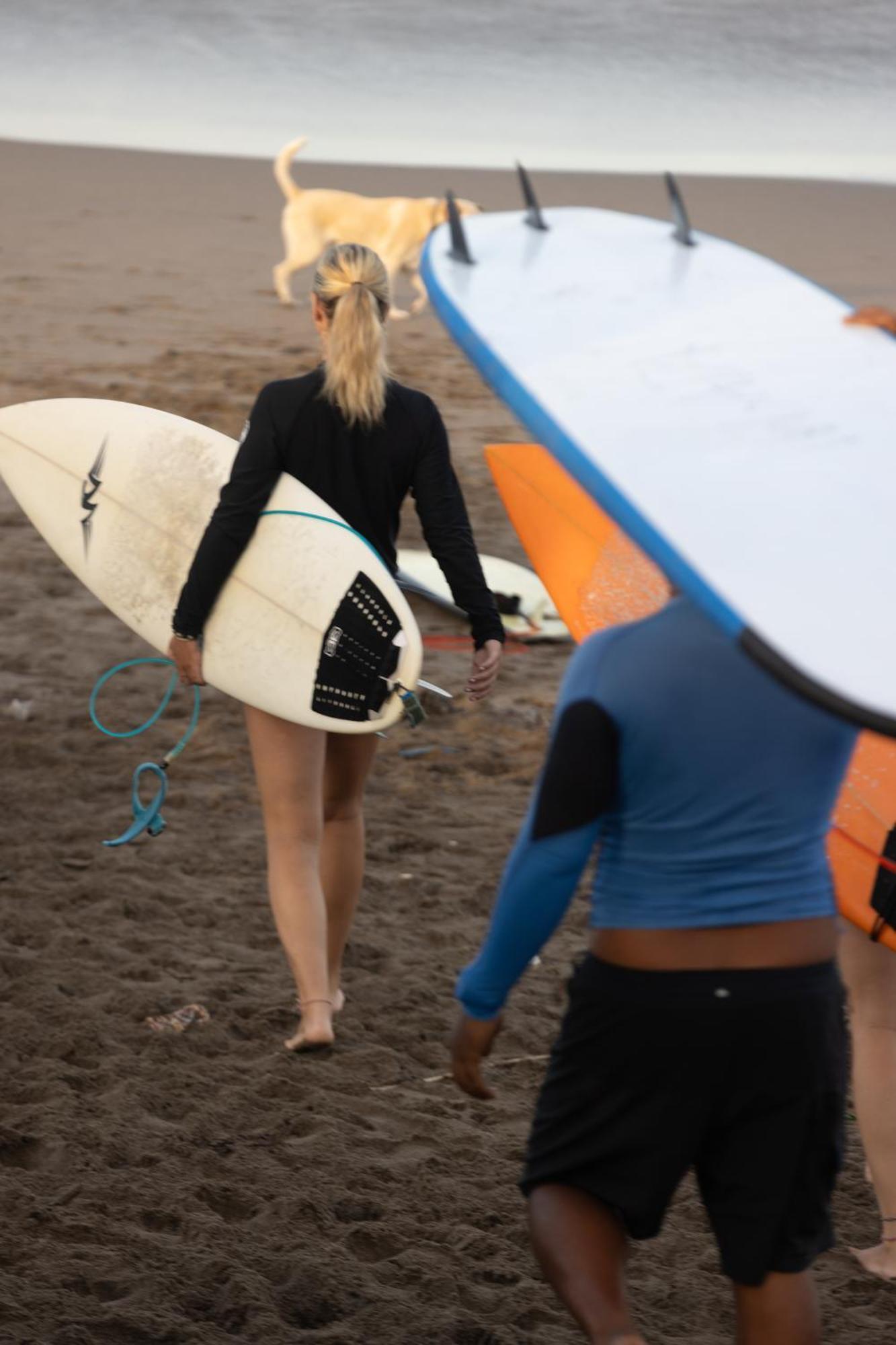 Zentiga Surf * Canggu (Bali)