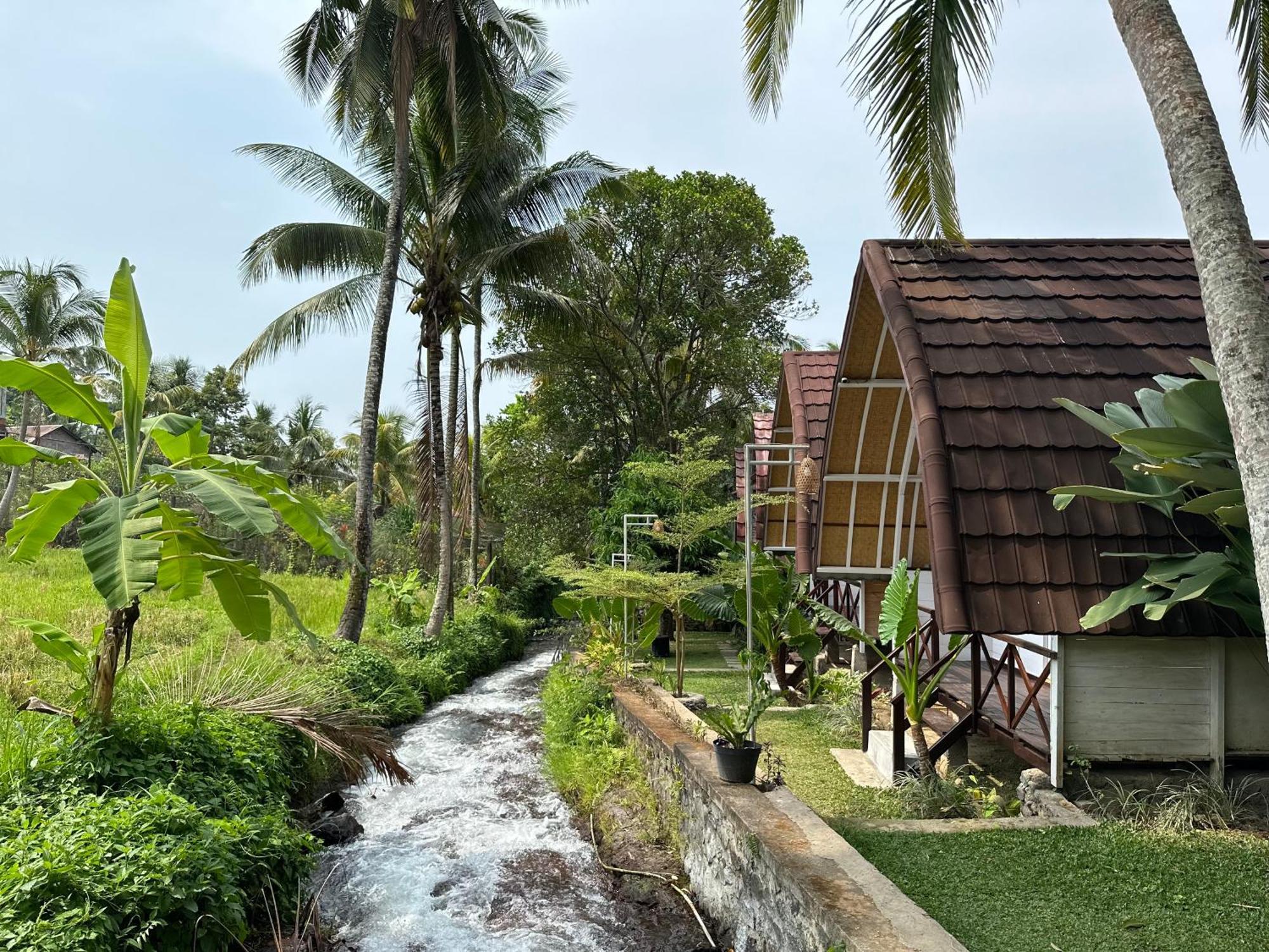 Homestay Damuh Pertivi, River And Rice Fields View