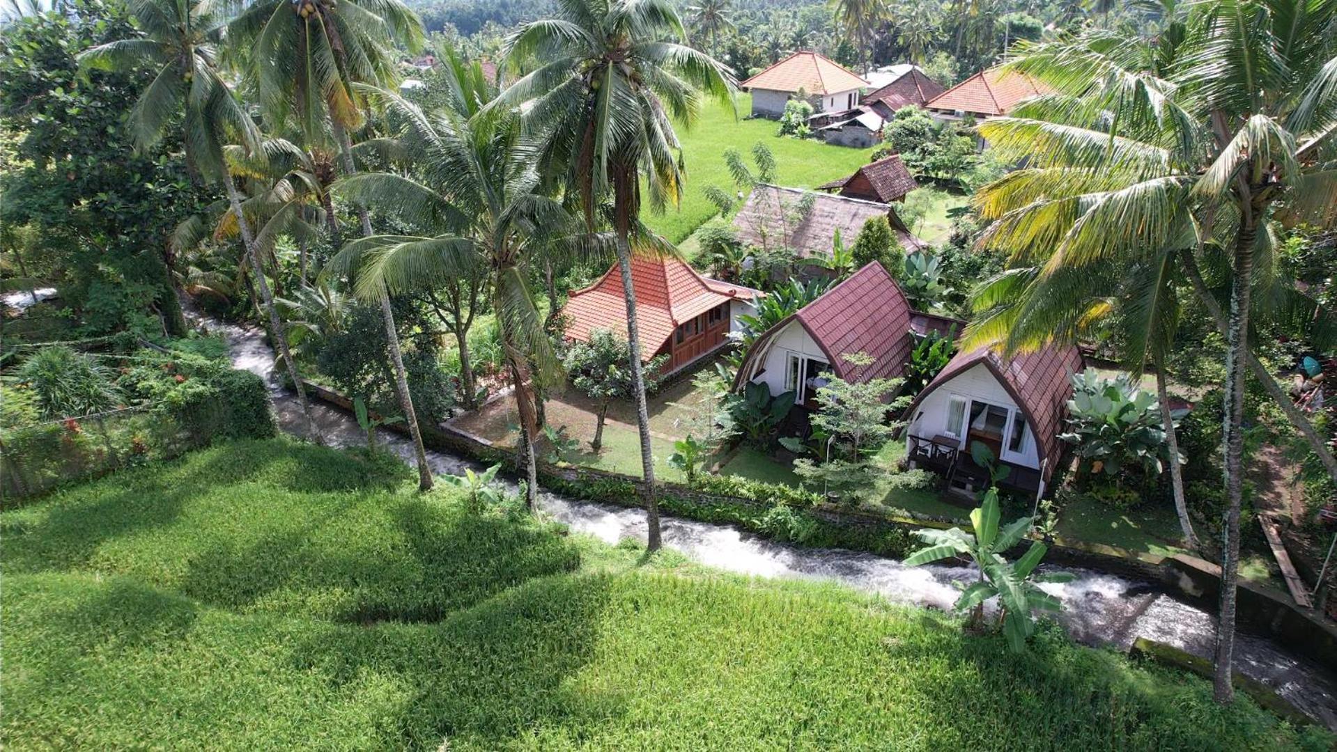 Damuh Pertivi, River And Rice Fields View