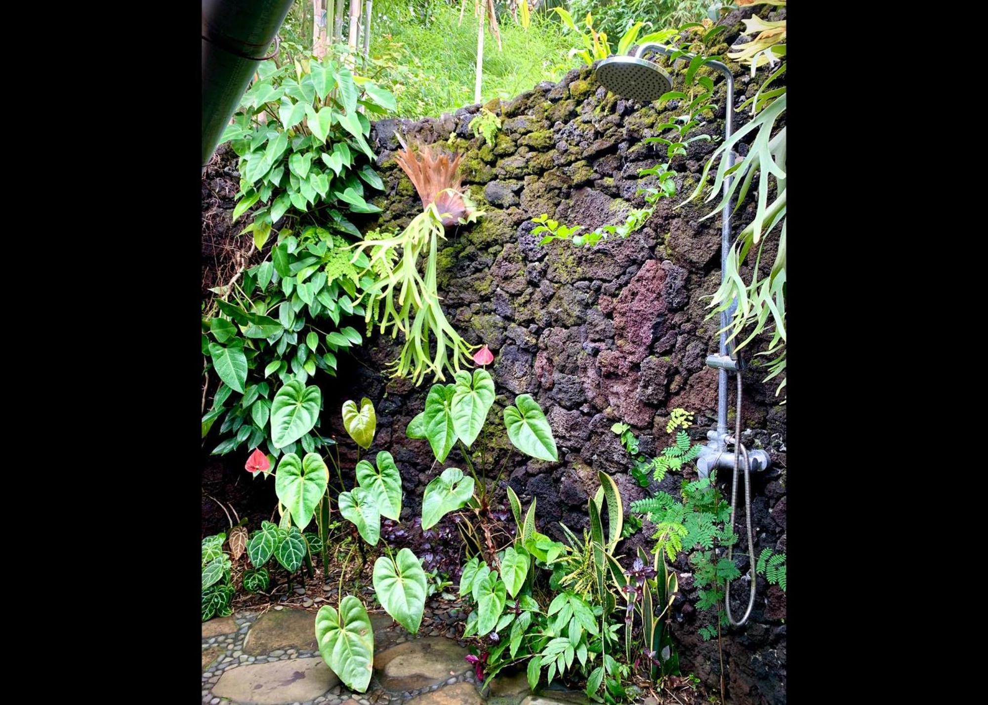 Holiday home Kepuh Singaraja (Bali)