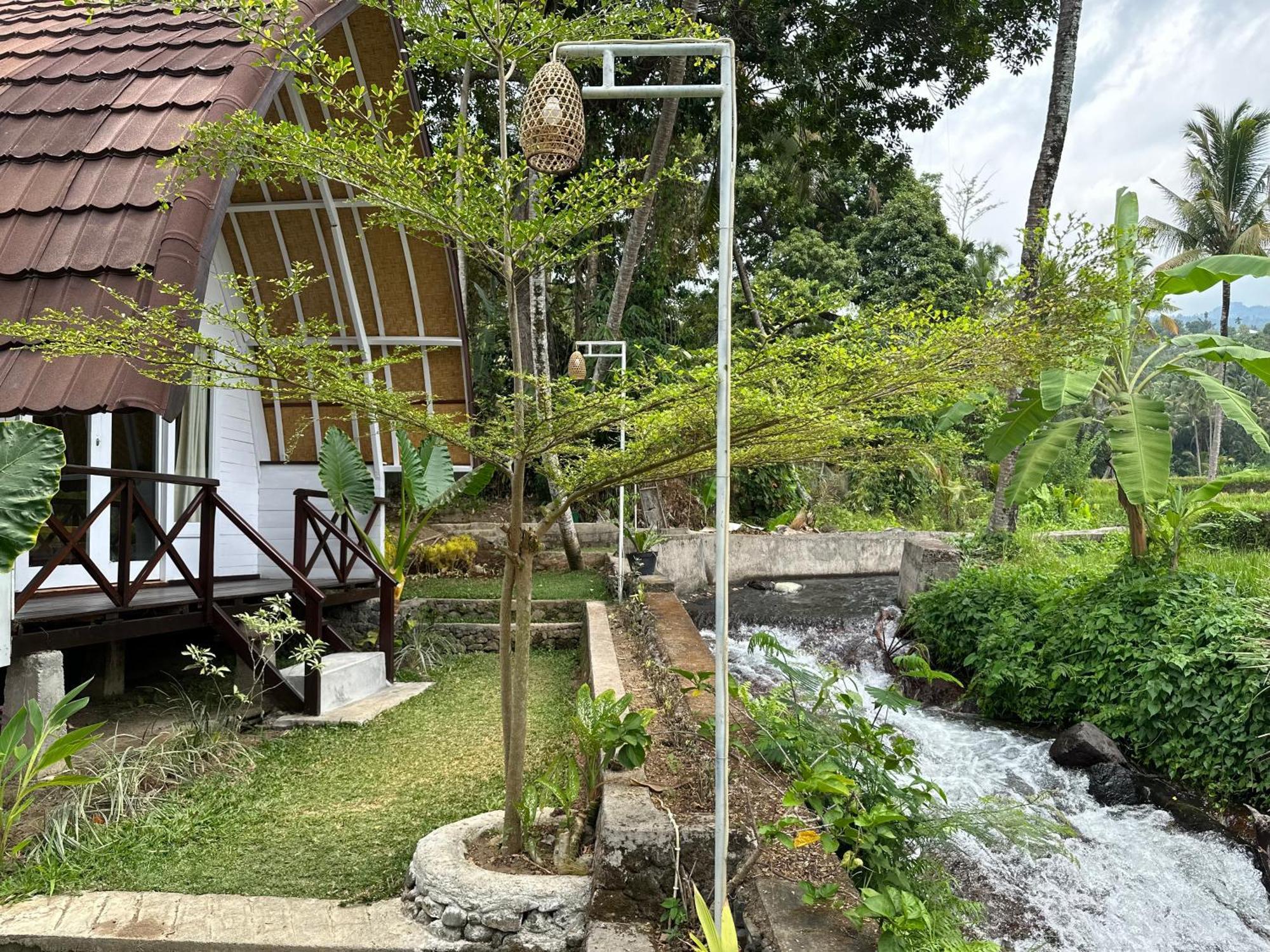 Damuh Pertivi, River And Rice Fields View Homestay Lovina (Bali)