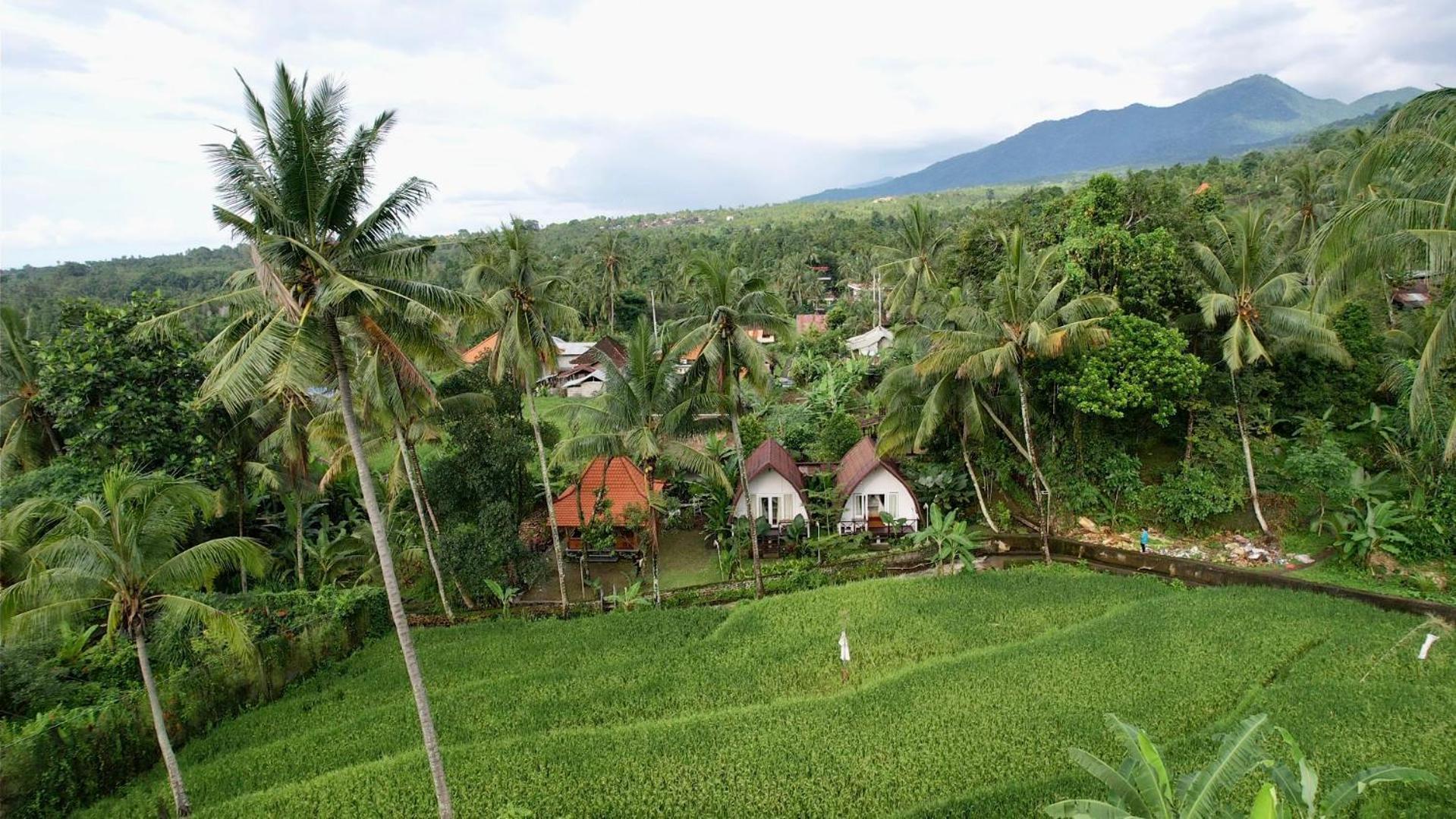 Homestay Damuh Pertivi, River And Rice Fields View Lovina (Bali)