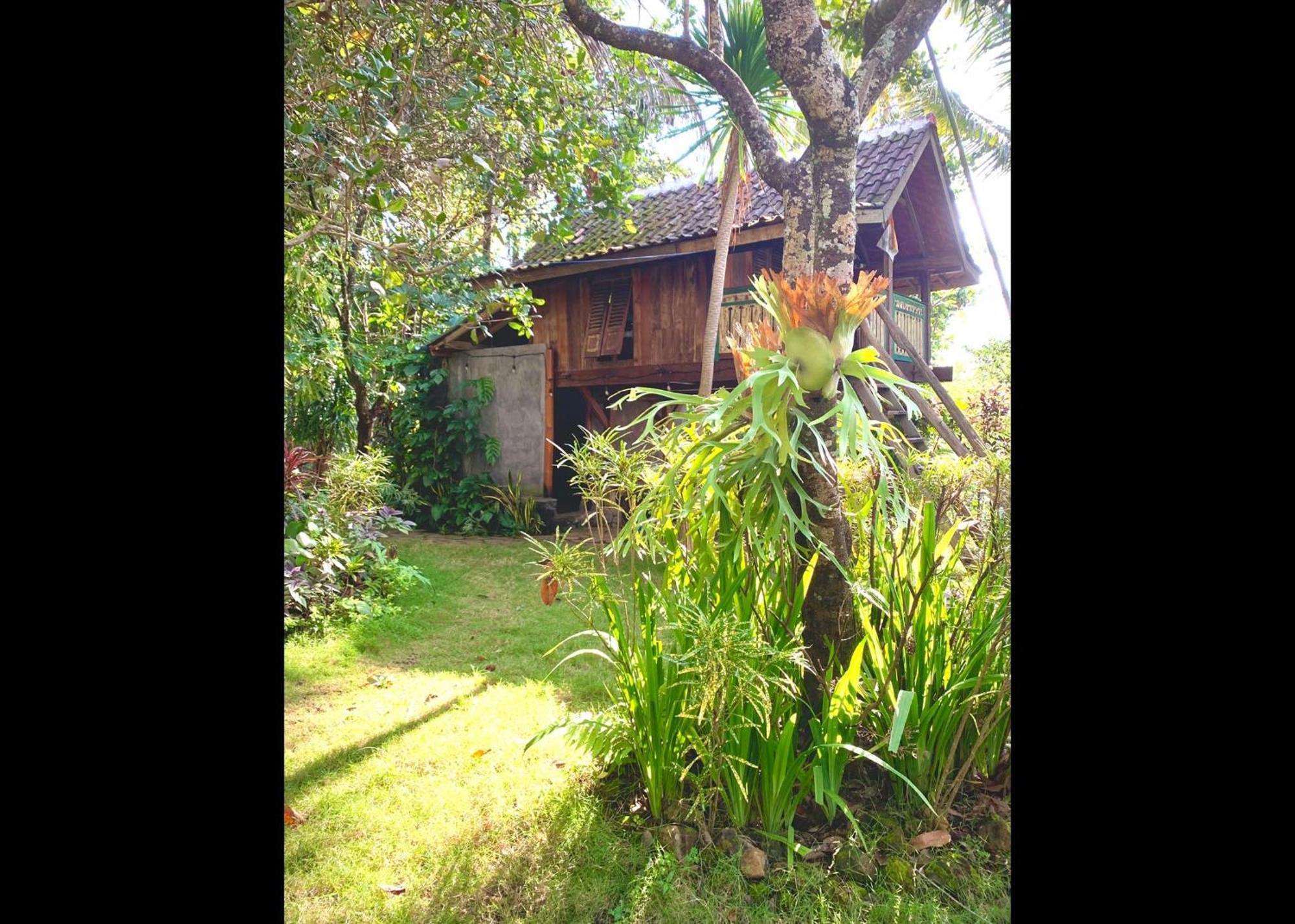 Kepuh Holiday home Singaraja (Bali)