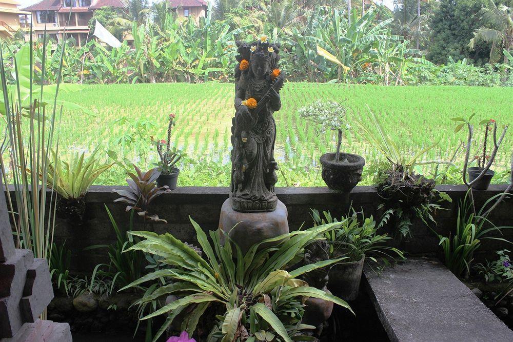 Sensasi