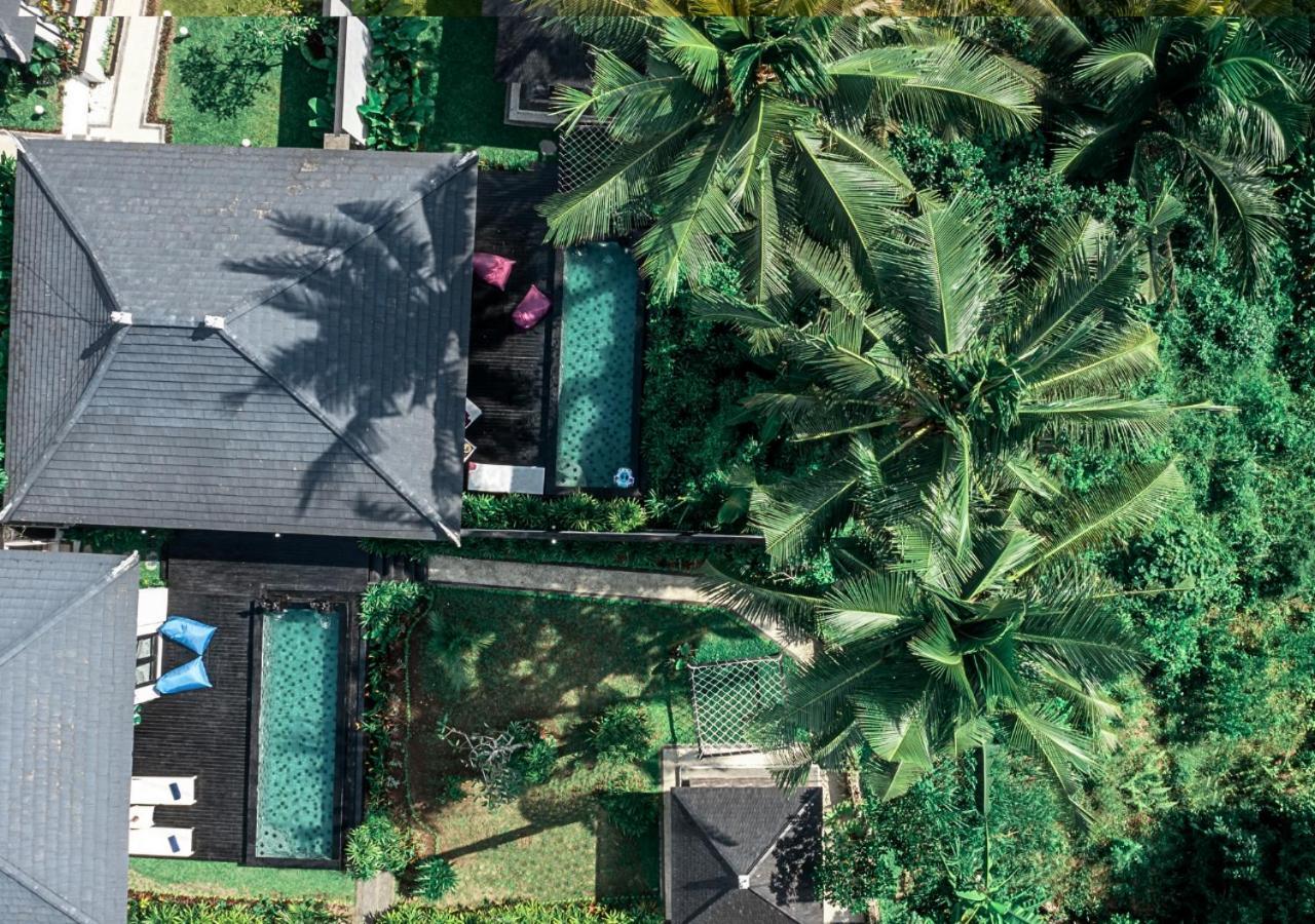 Capung Asri Eco Luxury With Private Pool * Bedahulu