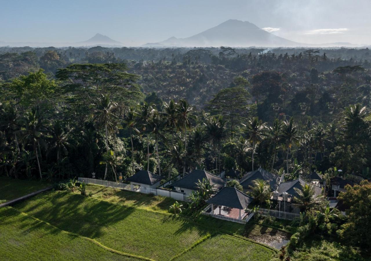 Capung Asri Eco Luxury With Private Pool Bed & Breakfast Bedahulu