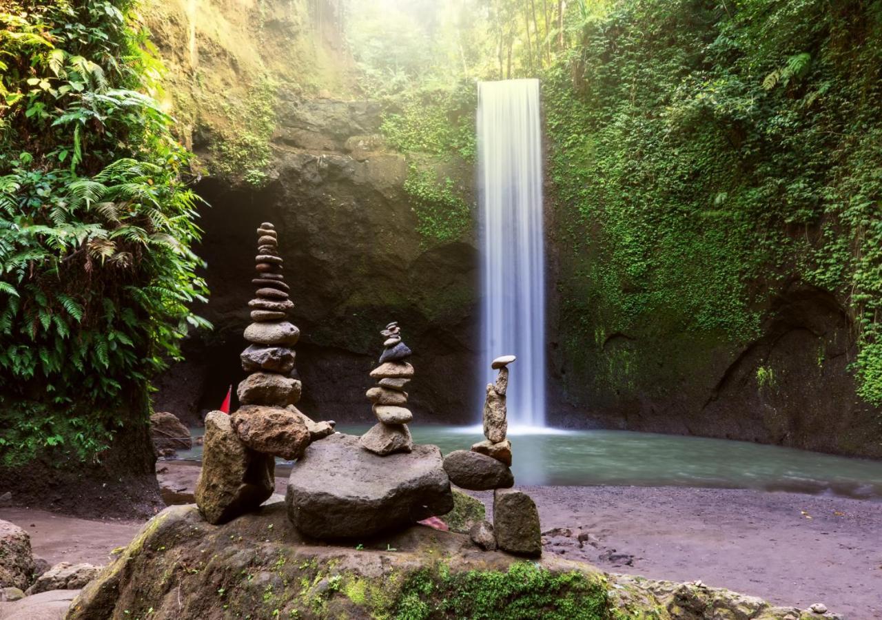 Capung Asri Eco Luxury With Private Pool Bed & Breakfast