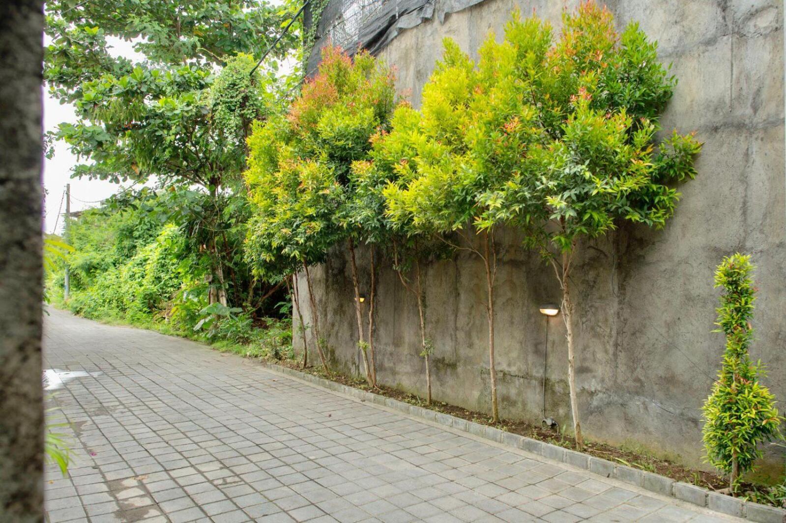 Guest house A7 2*