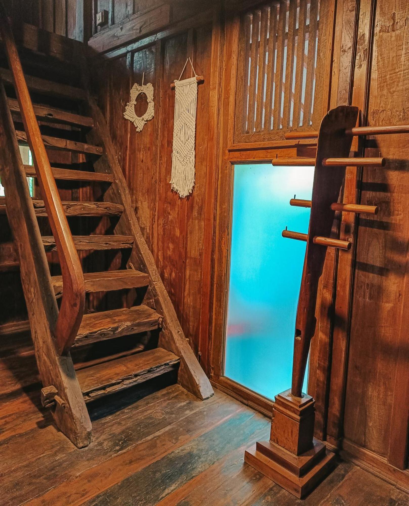 Alaya Lodge