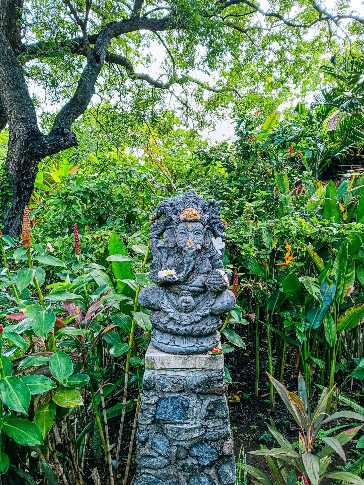 Alaya Lodge