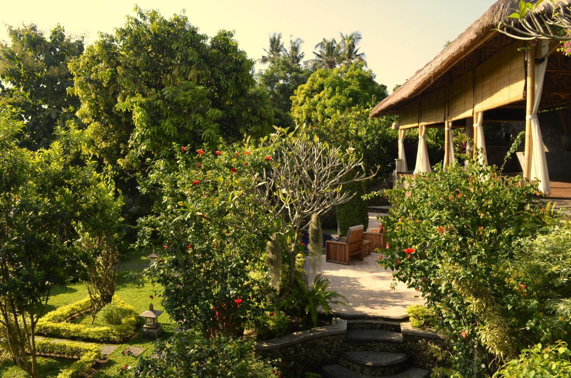 Alamanda Hotel Lovina (Bali)