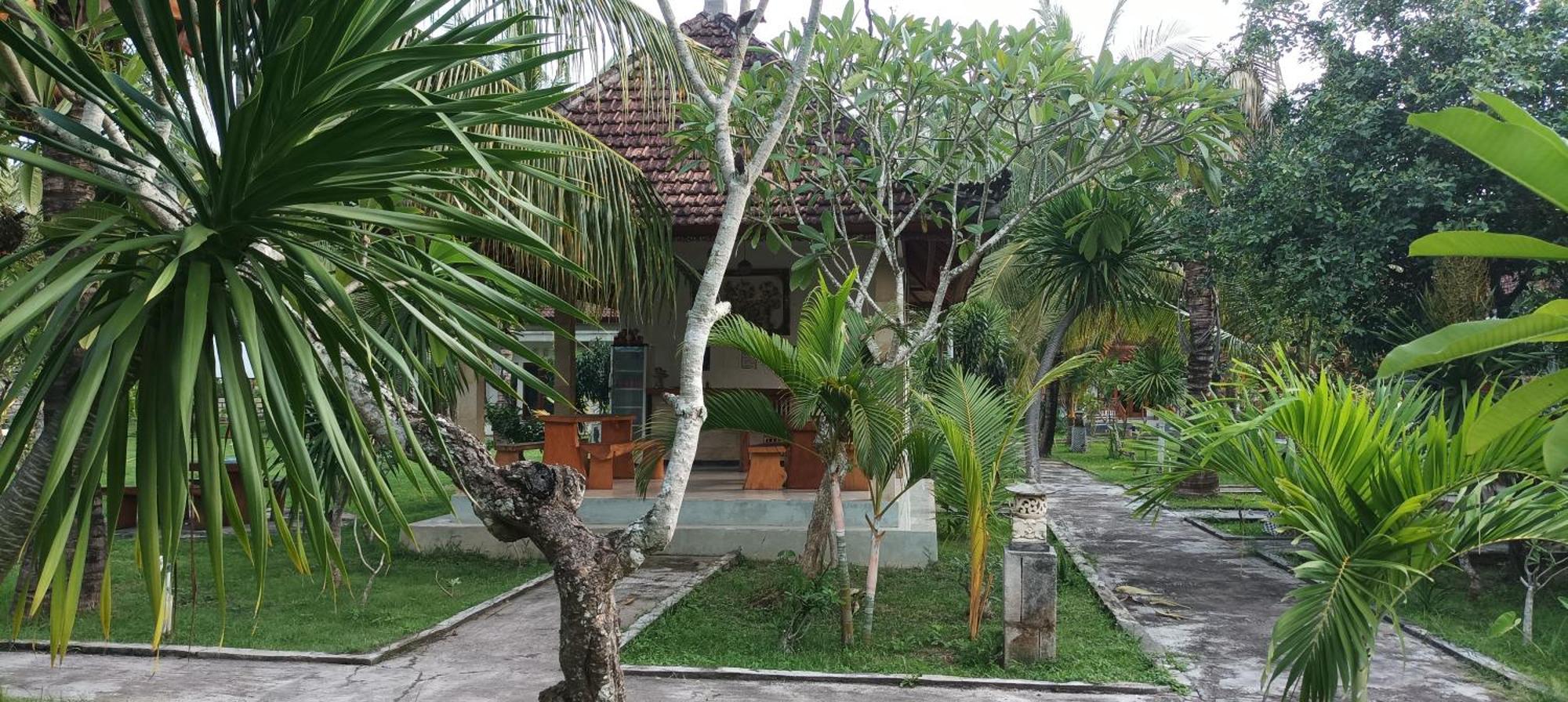 Wani Bali Toyapakeh