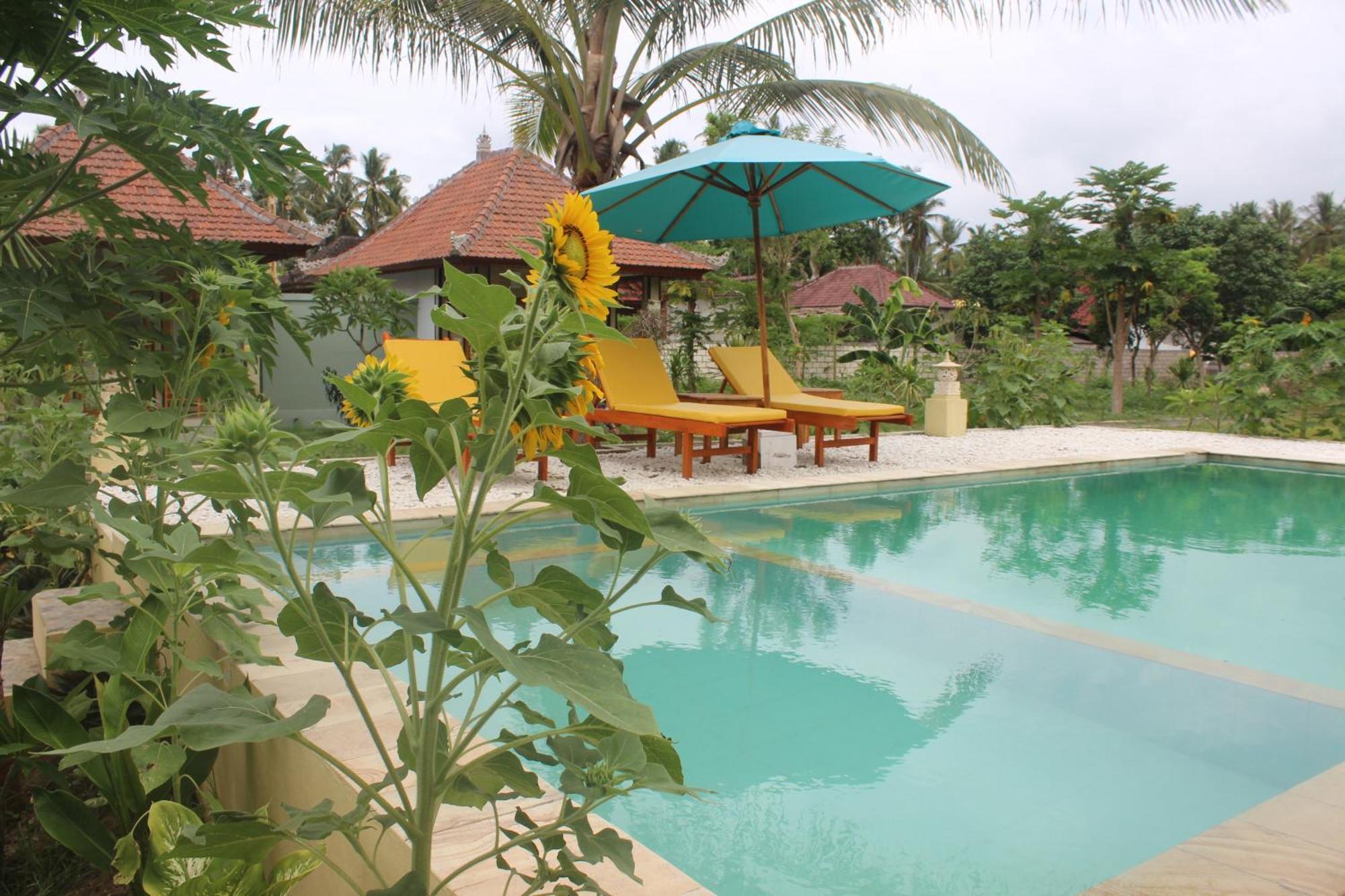 Holiday park Wani Bali Toyapakeh