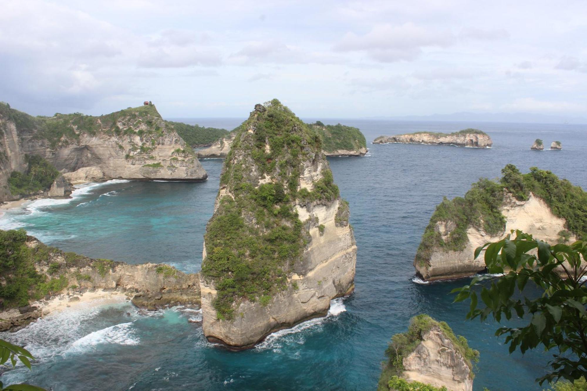 Wani Bali