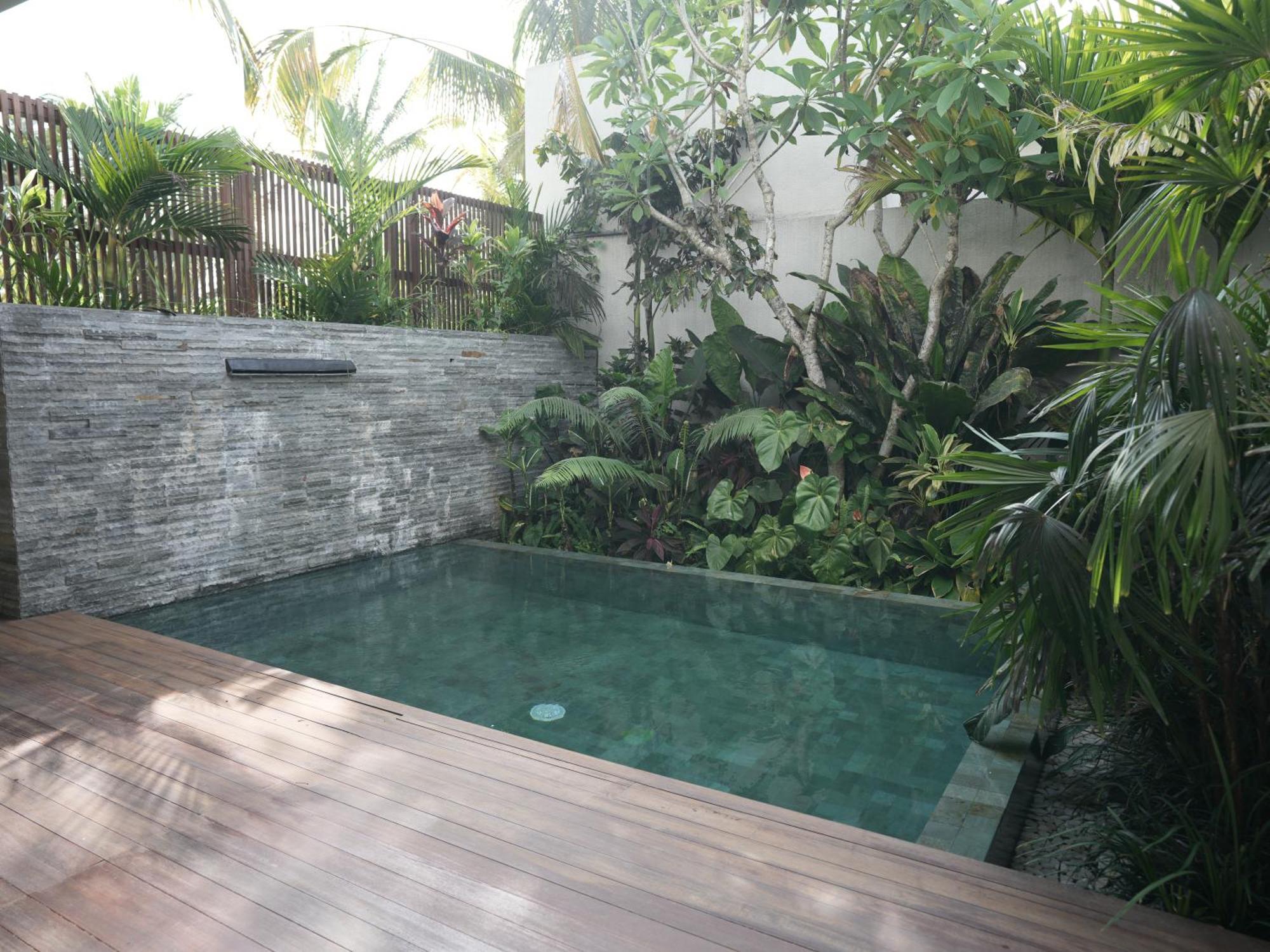 Daun Lebar