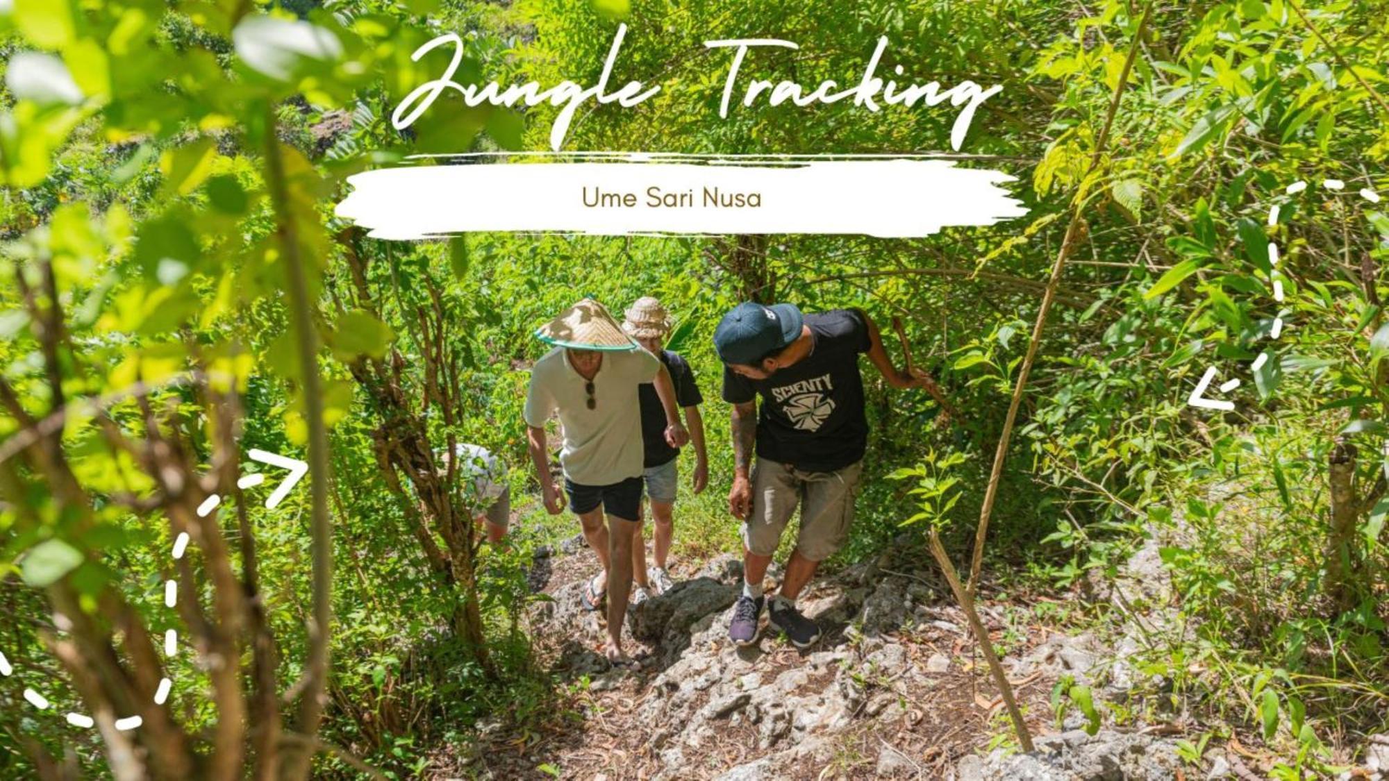 Ume Sari Nusa Batumadeg