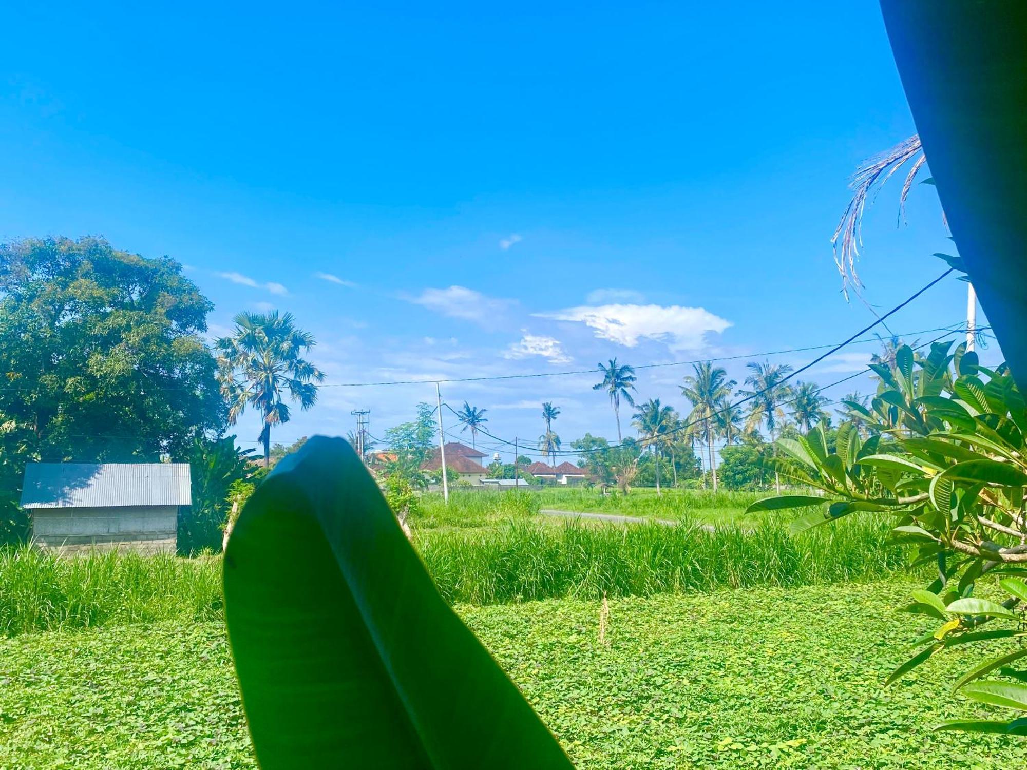 Light - Bali Villa