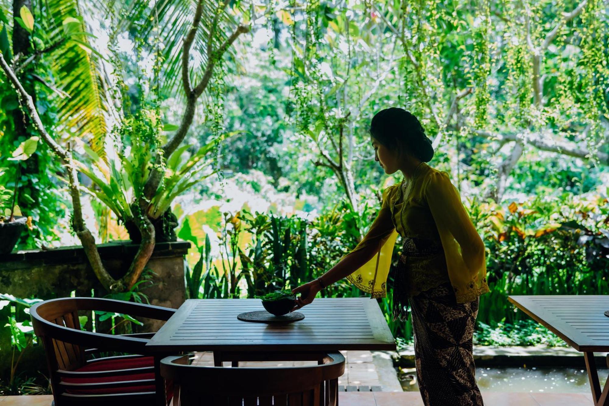 Jati 2* Ubud (Bali)
