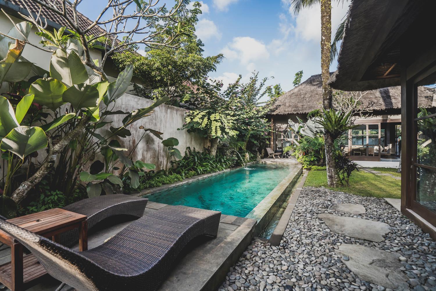Luwak Estate