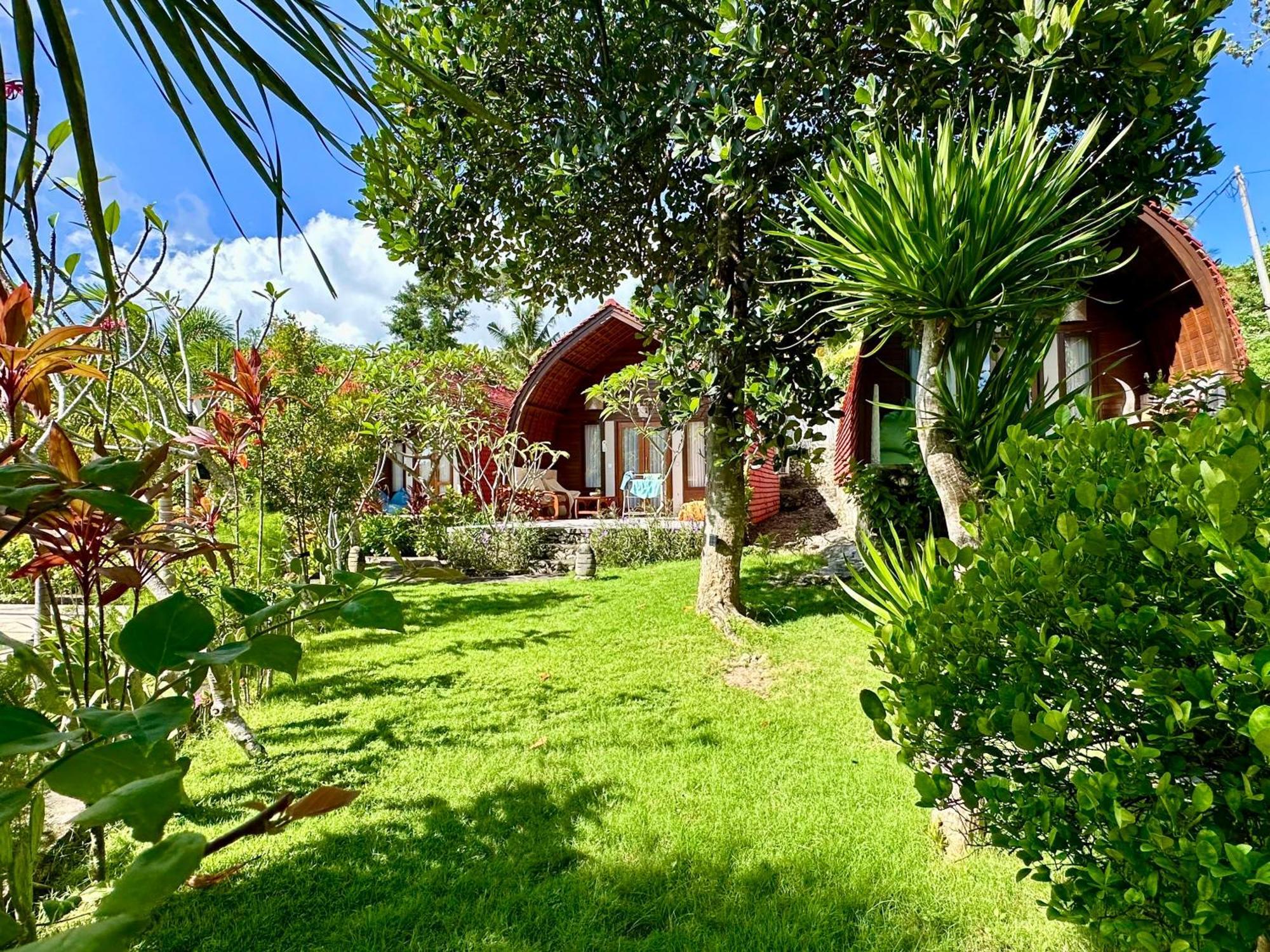 Jungle Paradise Holiday park