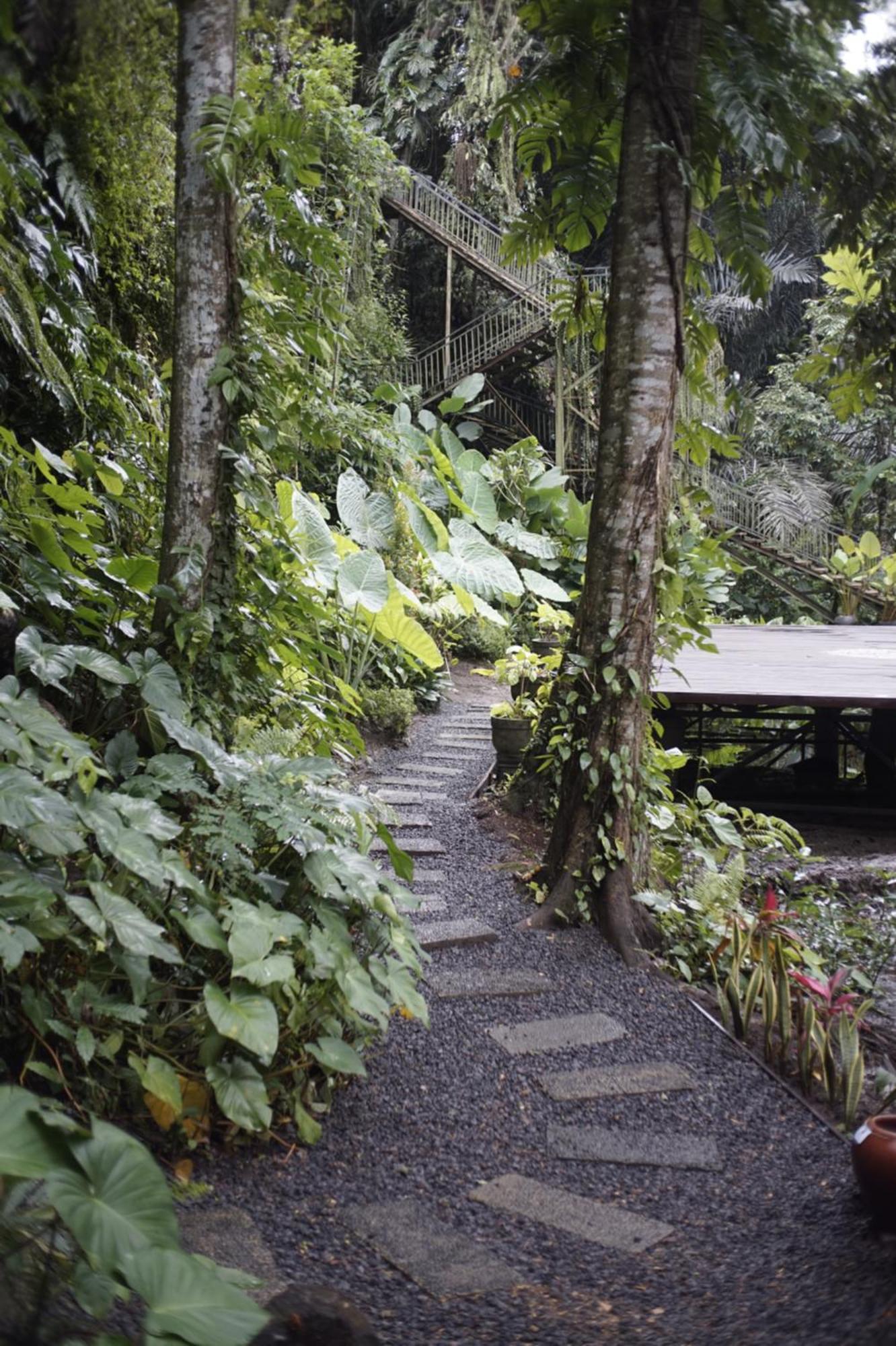 Tattva Retreat & Wellness Hotel Ubud (Bali)