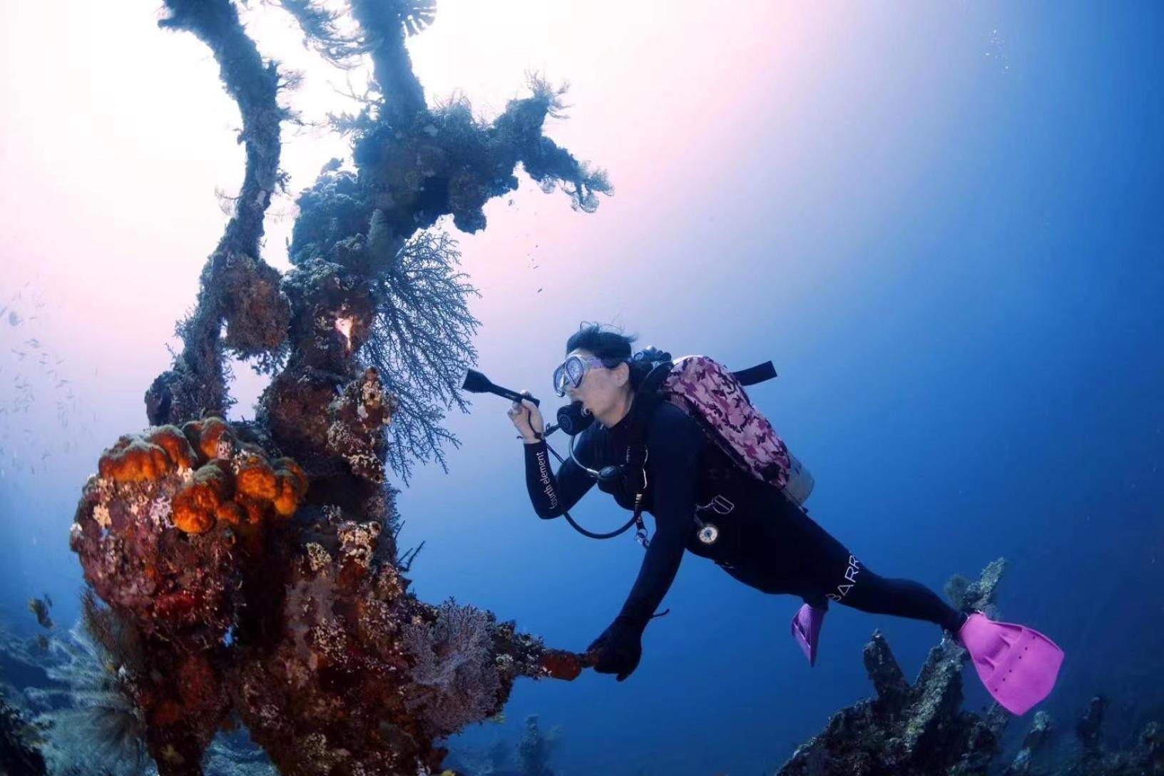 Alba Bali Dive Tulamben (Bali)