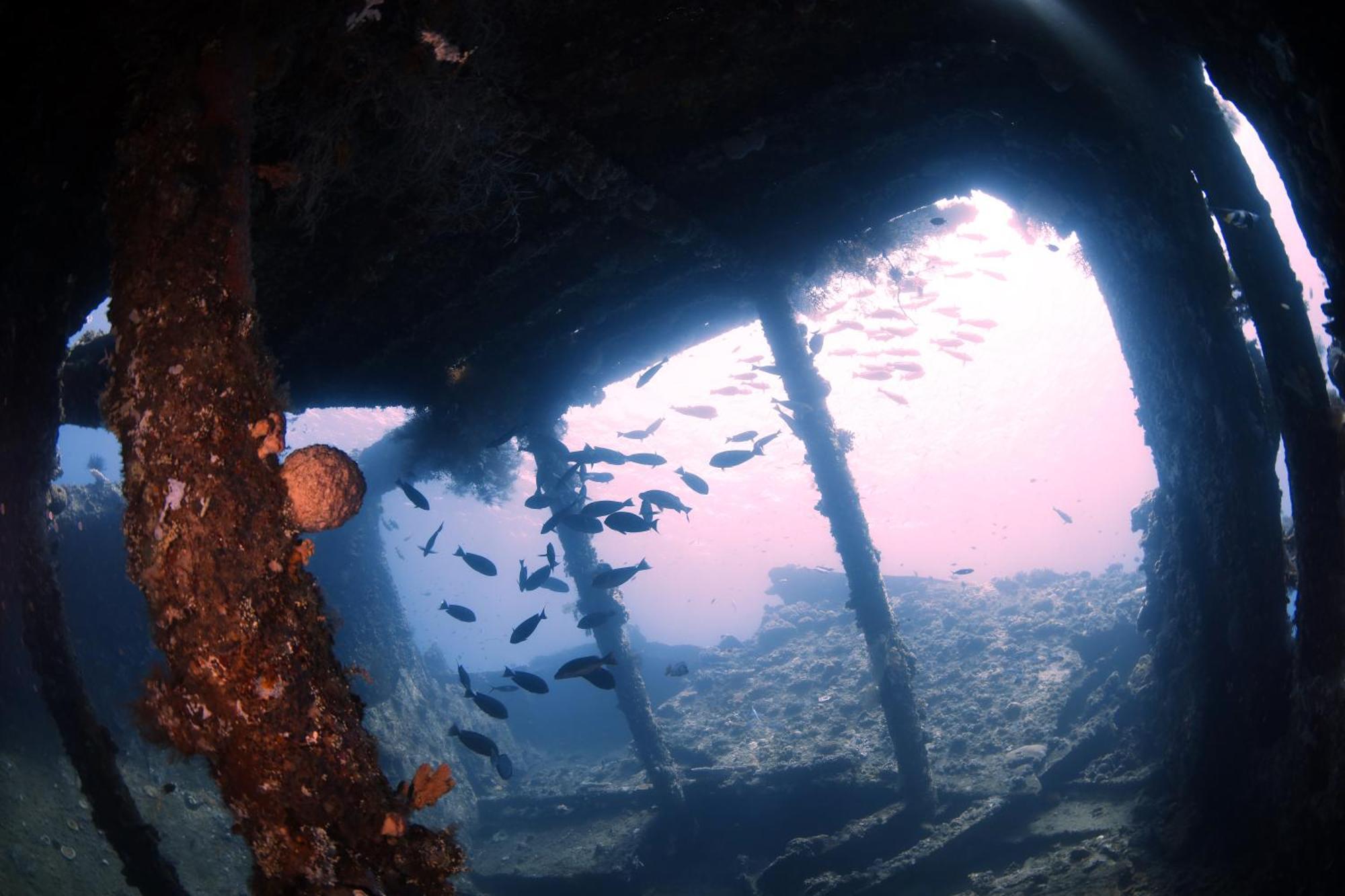 Hotel Alba Bali Dive Tulamben (Bali)
