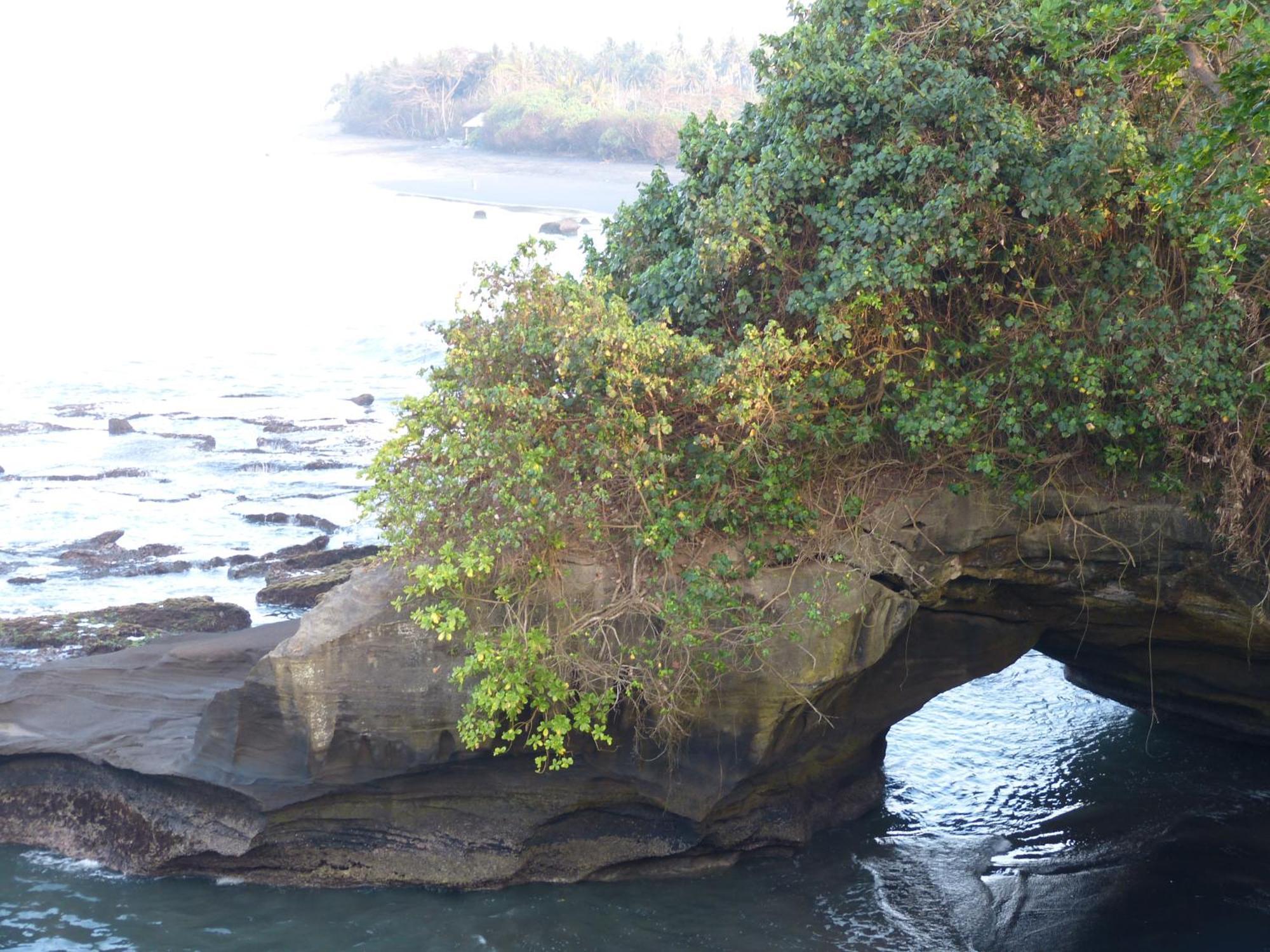 Gajah Mina 3* Selemadeg (Bali)
