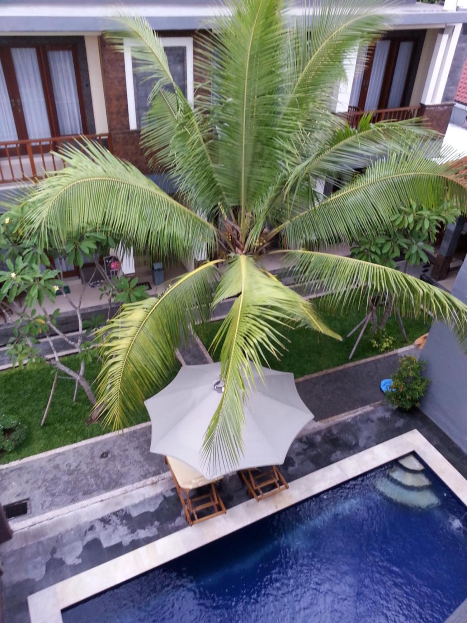 Guest house Dabumito