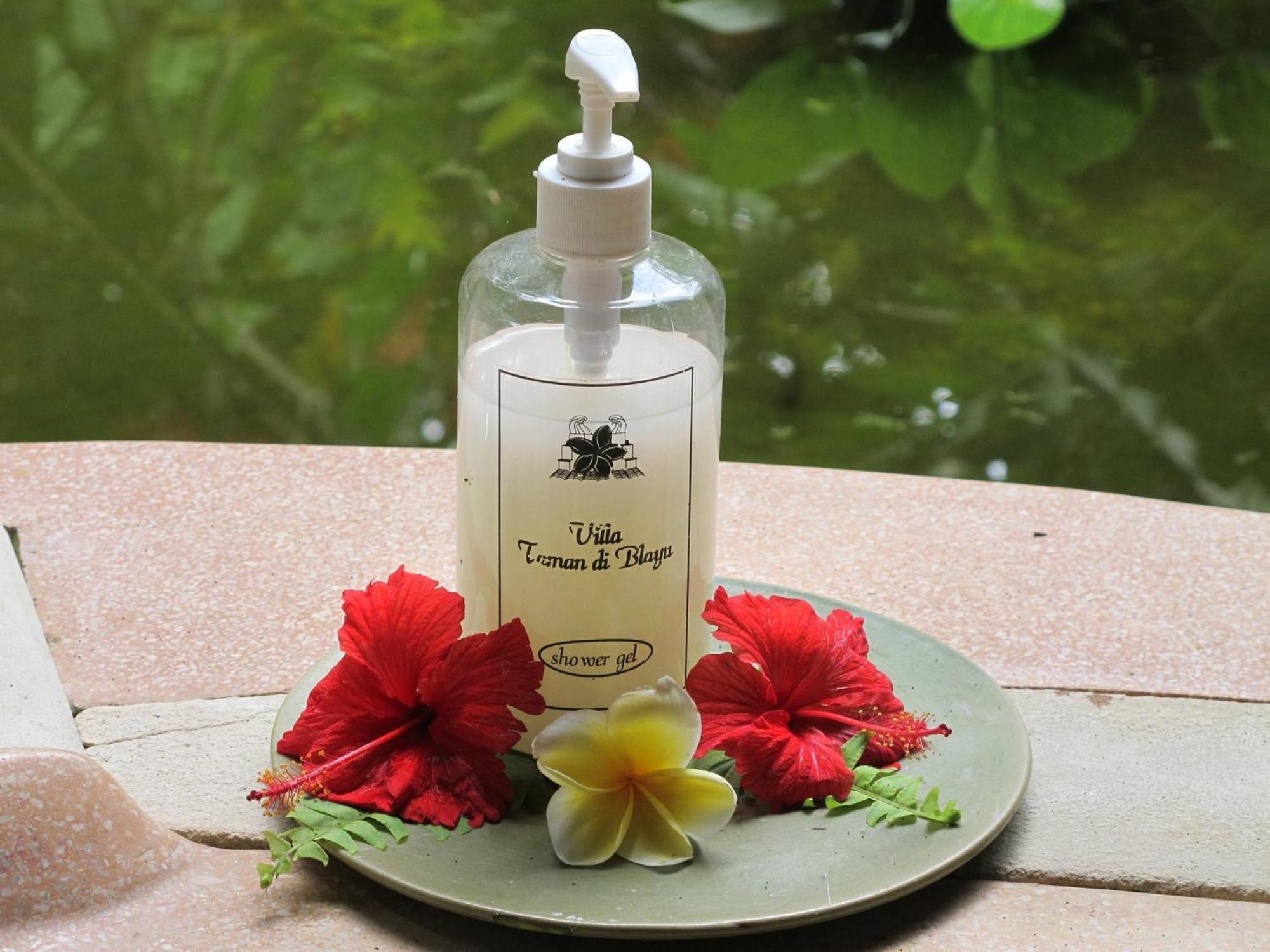 Taman Di Blayu By Nagisa Bali 4* Tabanan (Bali)