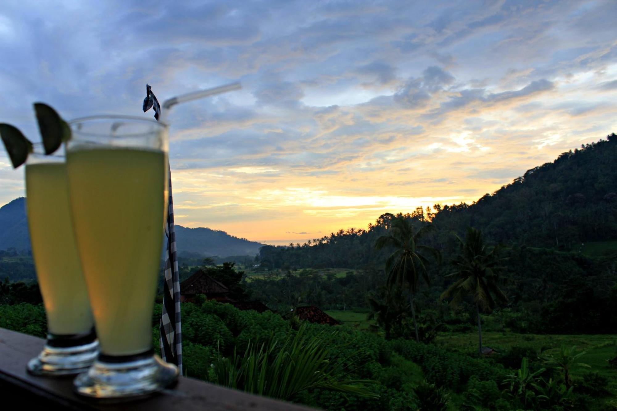 Arta Nadi Guest house Sidemen (Bali)