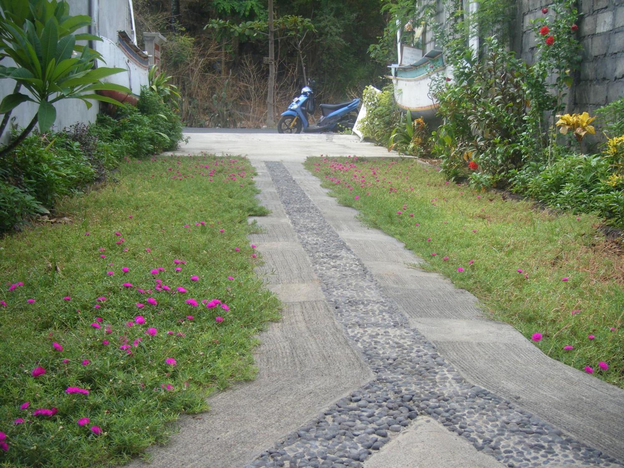 Guest house Bubu Racok