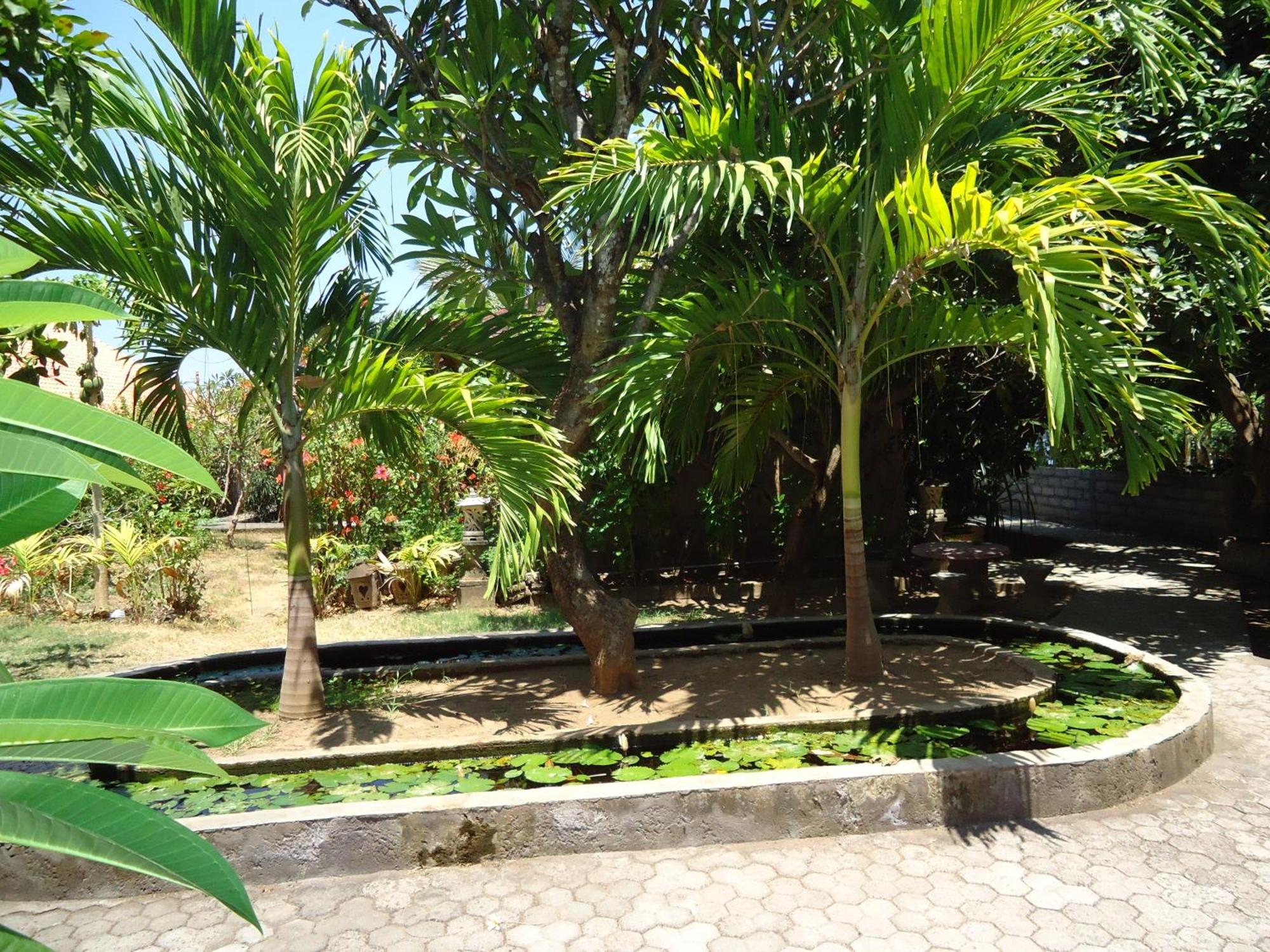 Three Brothers Bobby's Holiday park Amed (Bali)