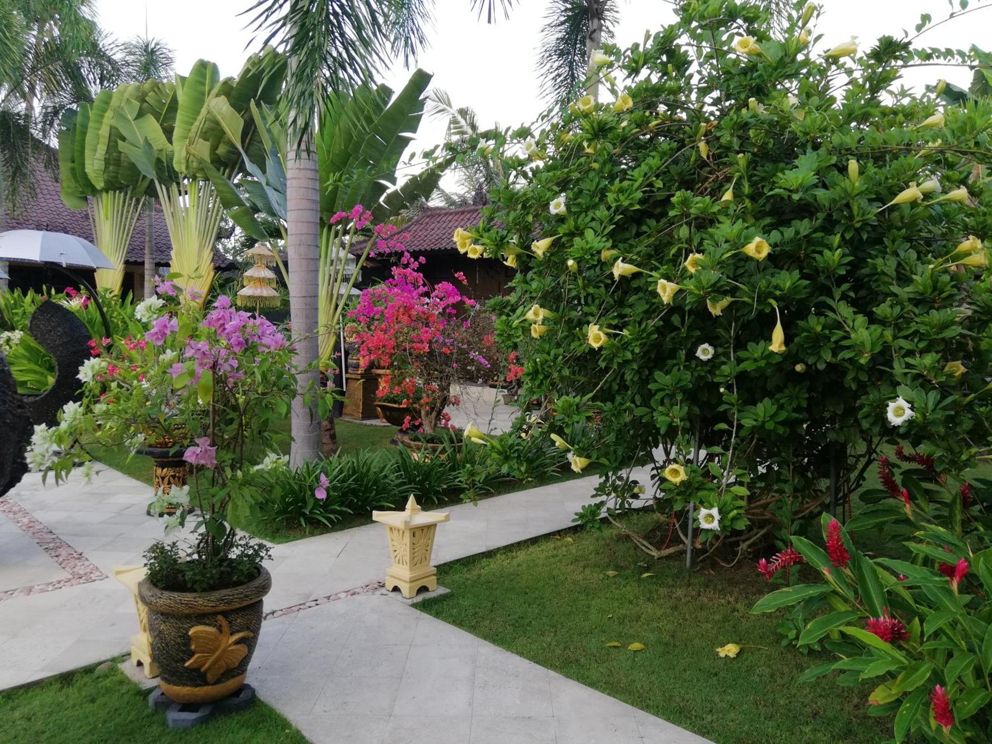 Gusmania Candi Dasa (Bali)
