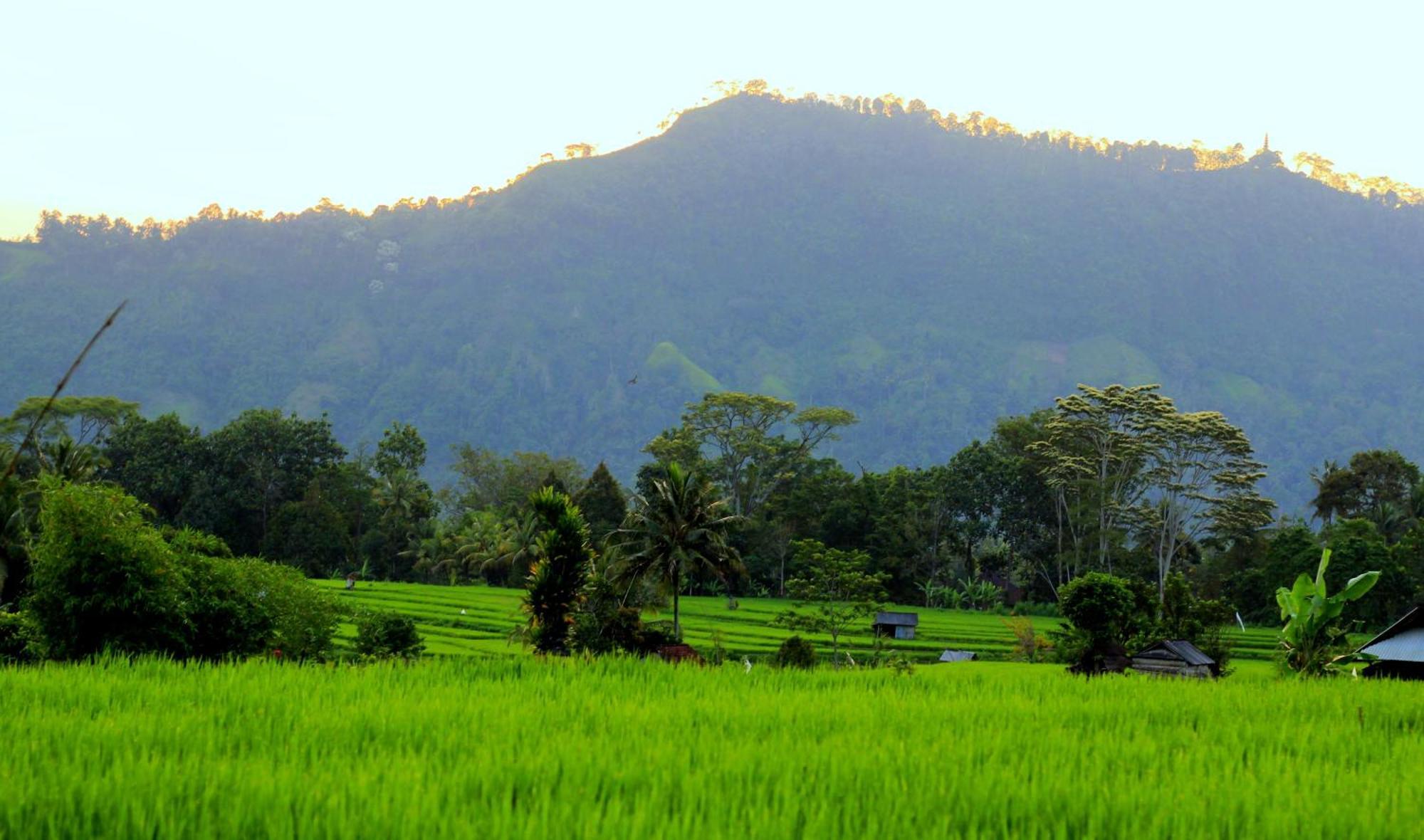 Giri Carik Sidemen (Bali)