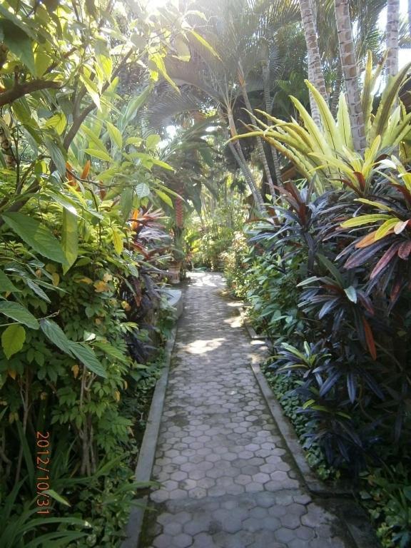 Adus Guest house 2*