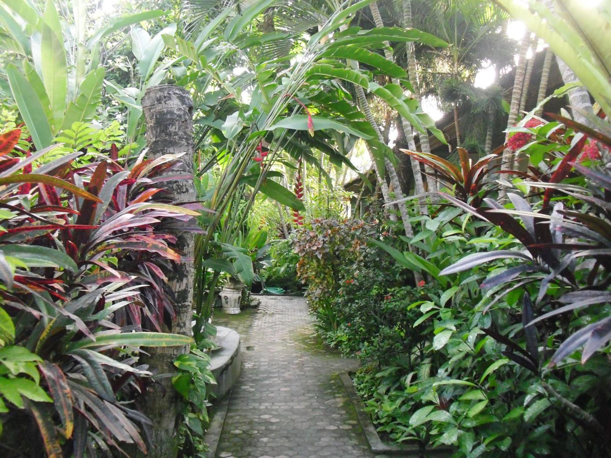 Guest house Adus Legian (Bali)
