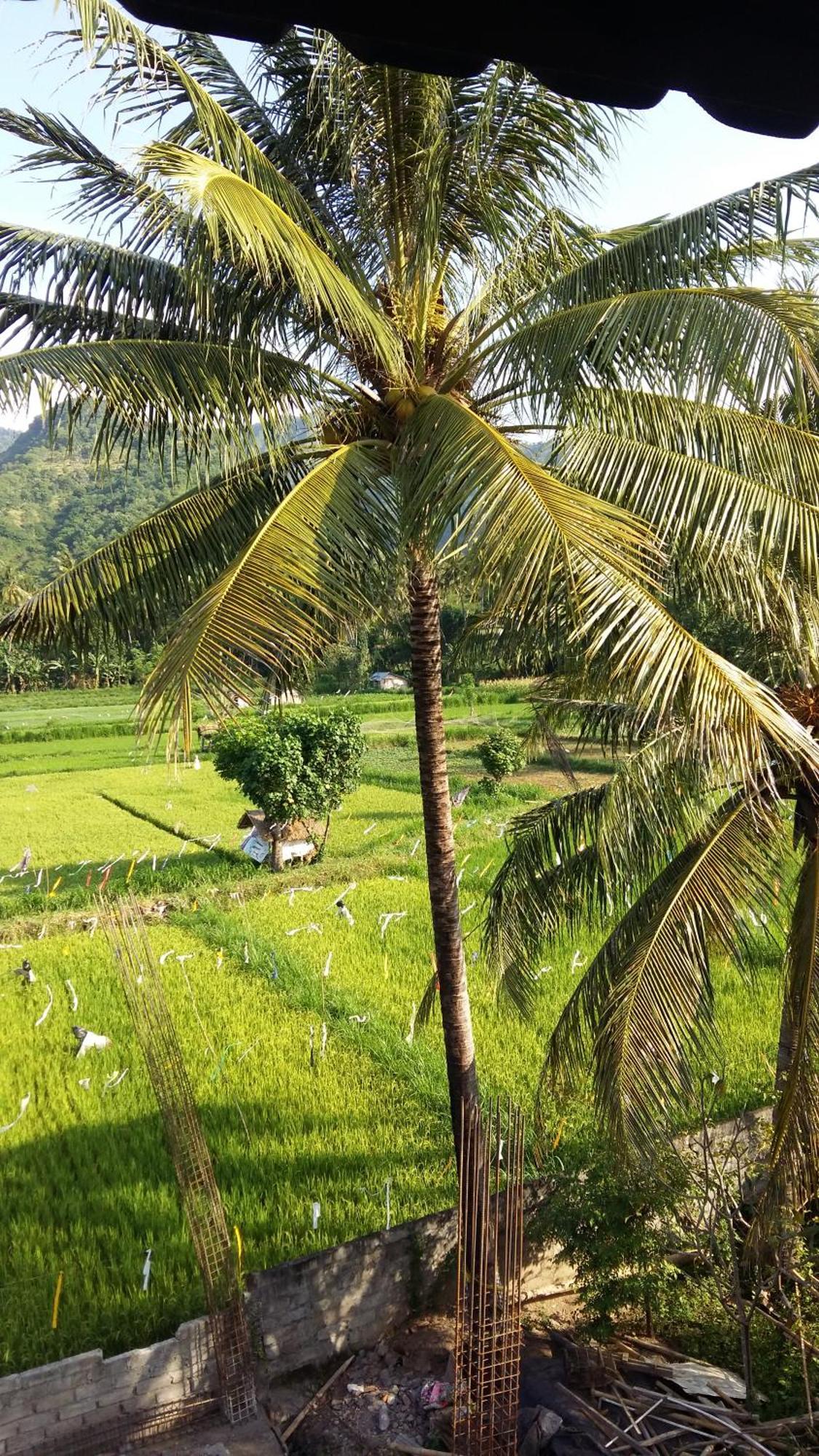 Stop Homestay, Rooftop Restaurant And Bar