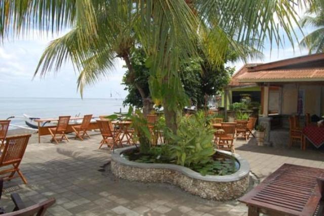 Mandhara Chico Lovina (Bali)