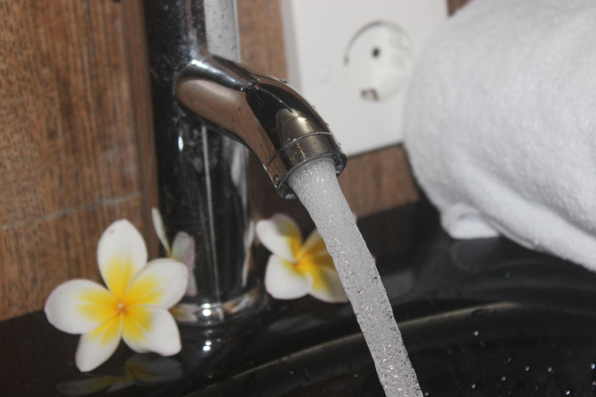 Guest house Silvy Canggu (Bali)