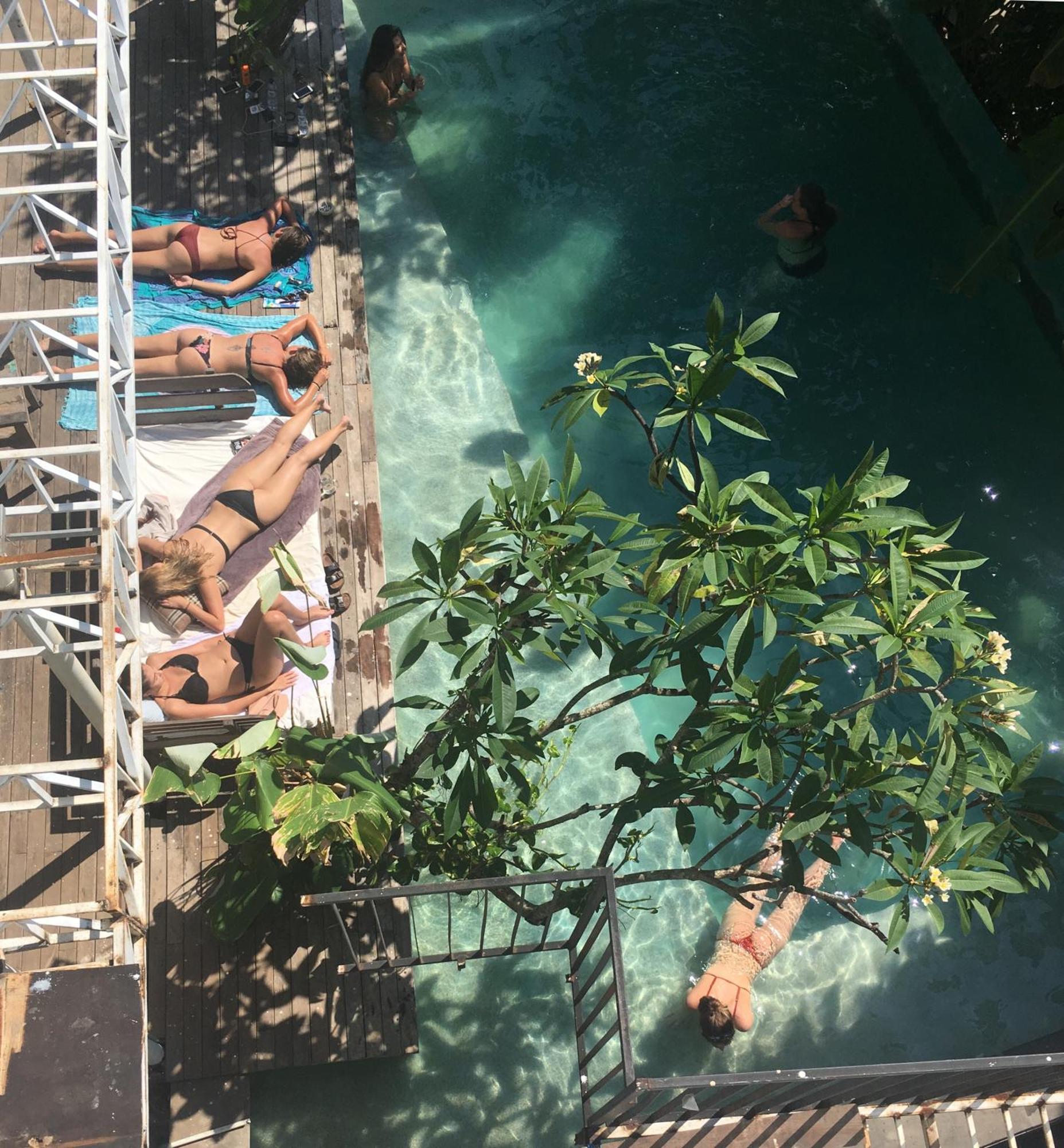 The Hide At (adults Only)