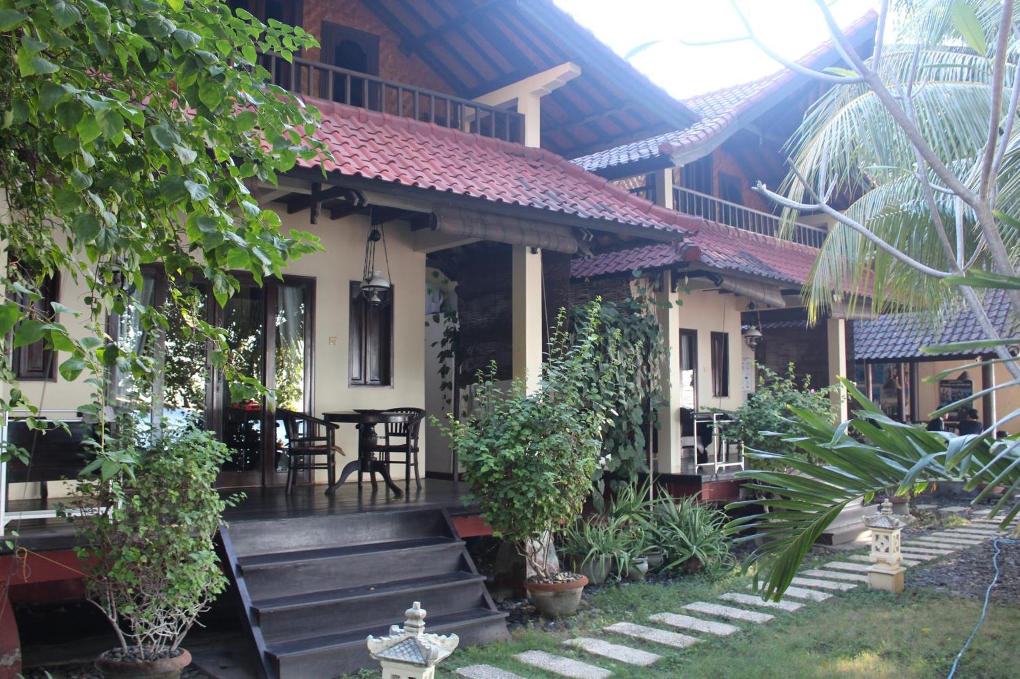 Bali Coral *