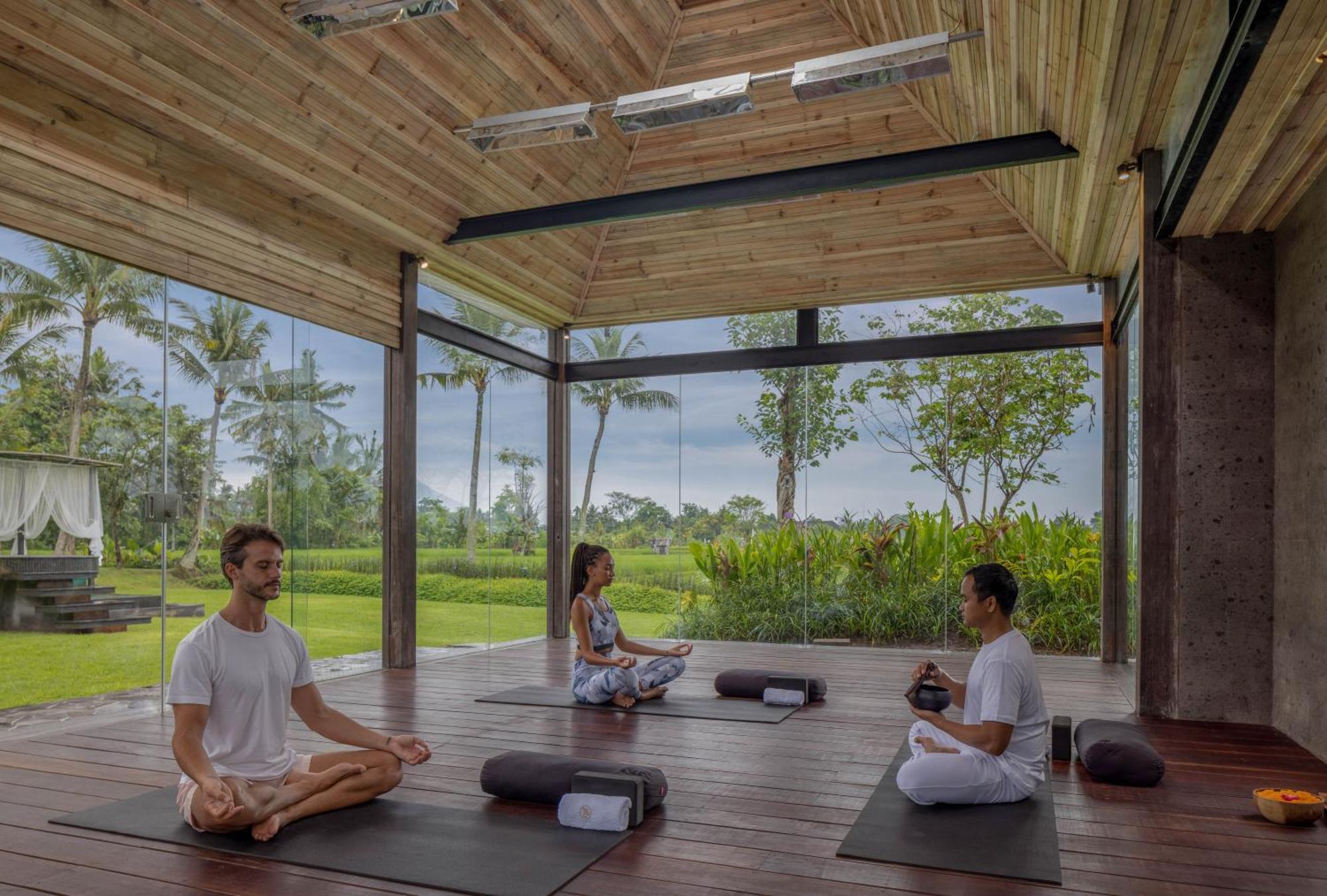 Gdas Bali Health And Wellness 5*