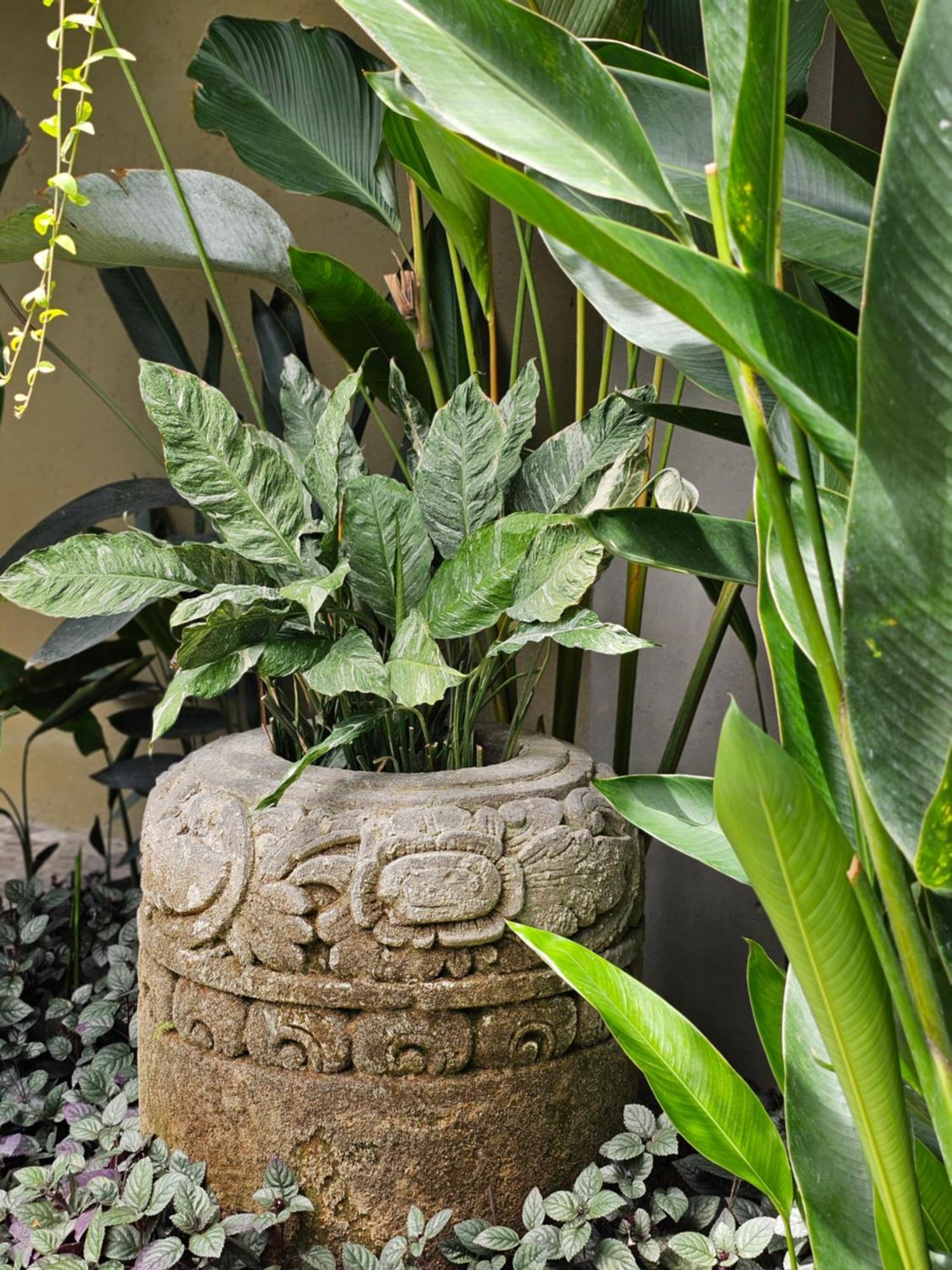 Wasabi Hotel Canggu (Bali)