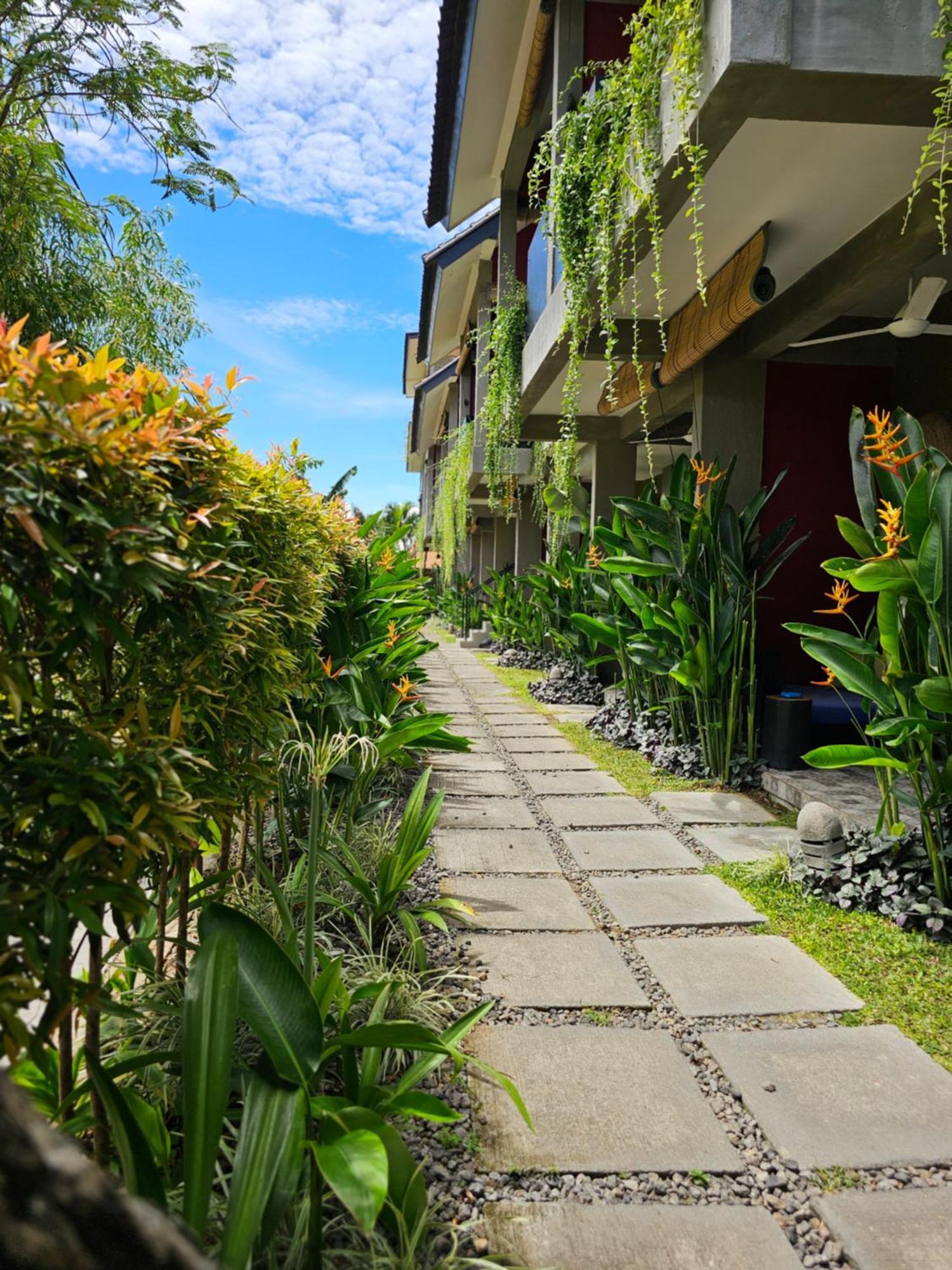 Wasabi Canggu (Bali)