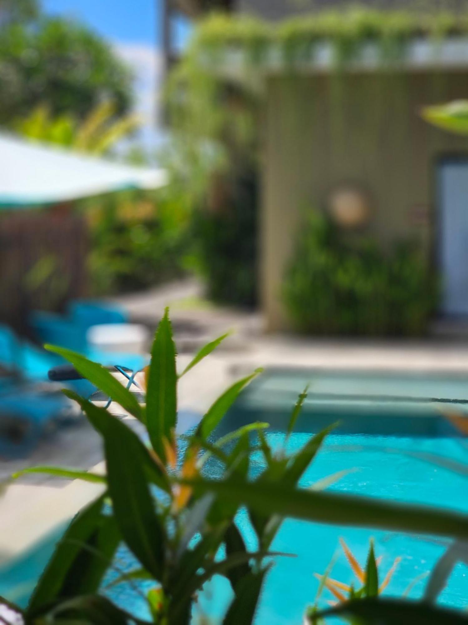 Wasabi 3* Canggu (Bali)