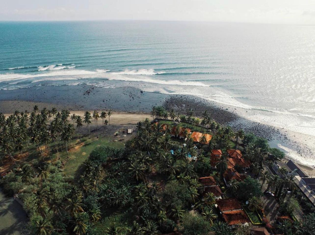 Surfers And Medewi *