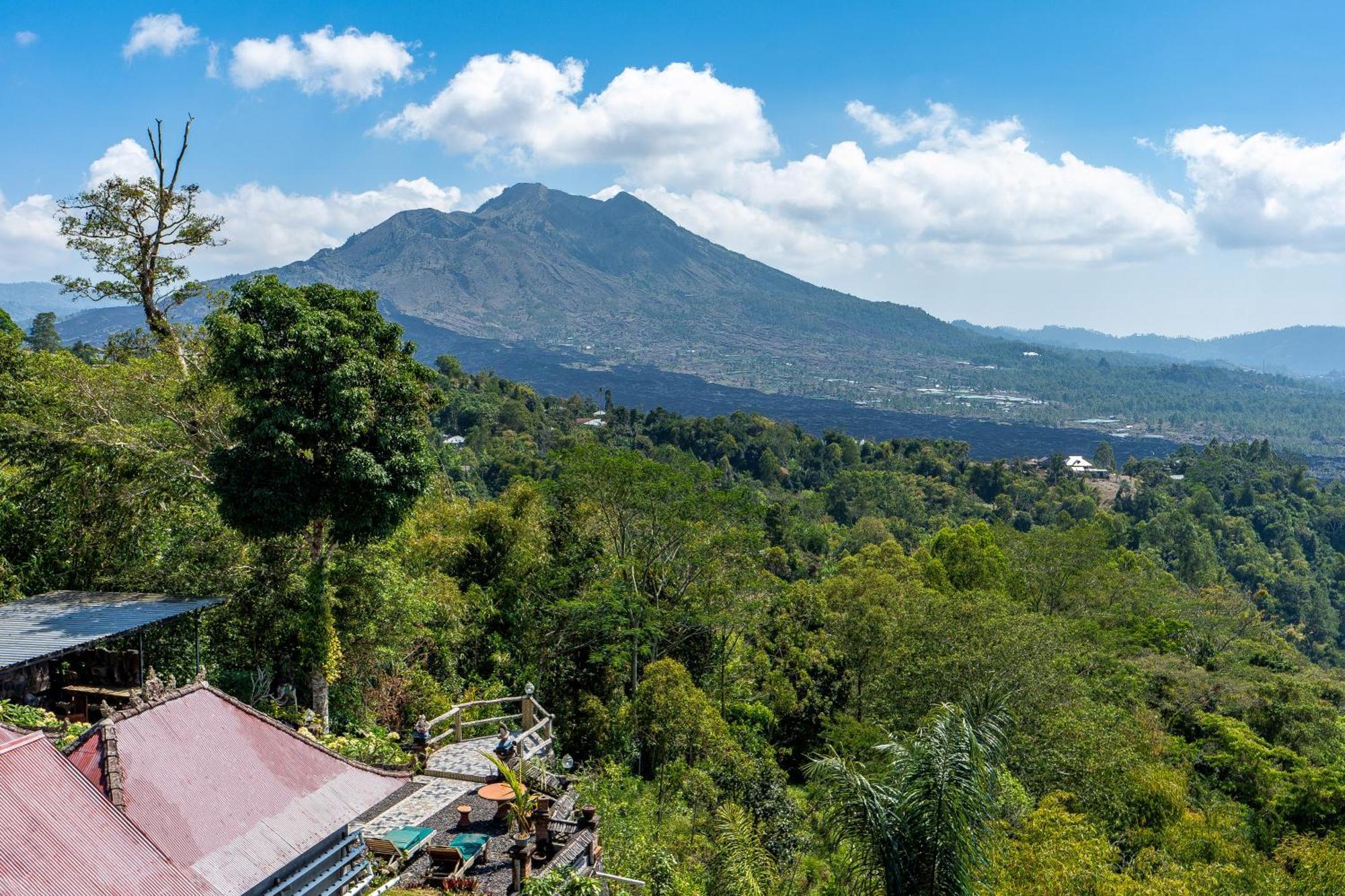 Tiing Bali * Kintamani (Bali)