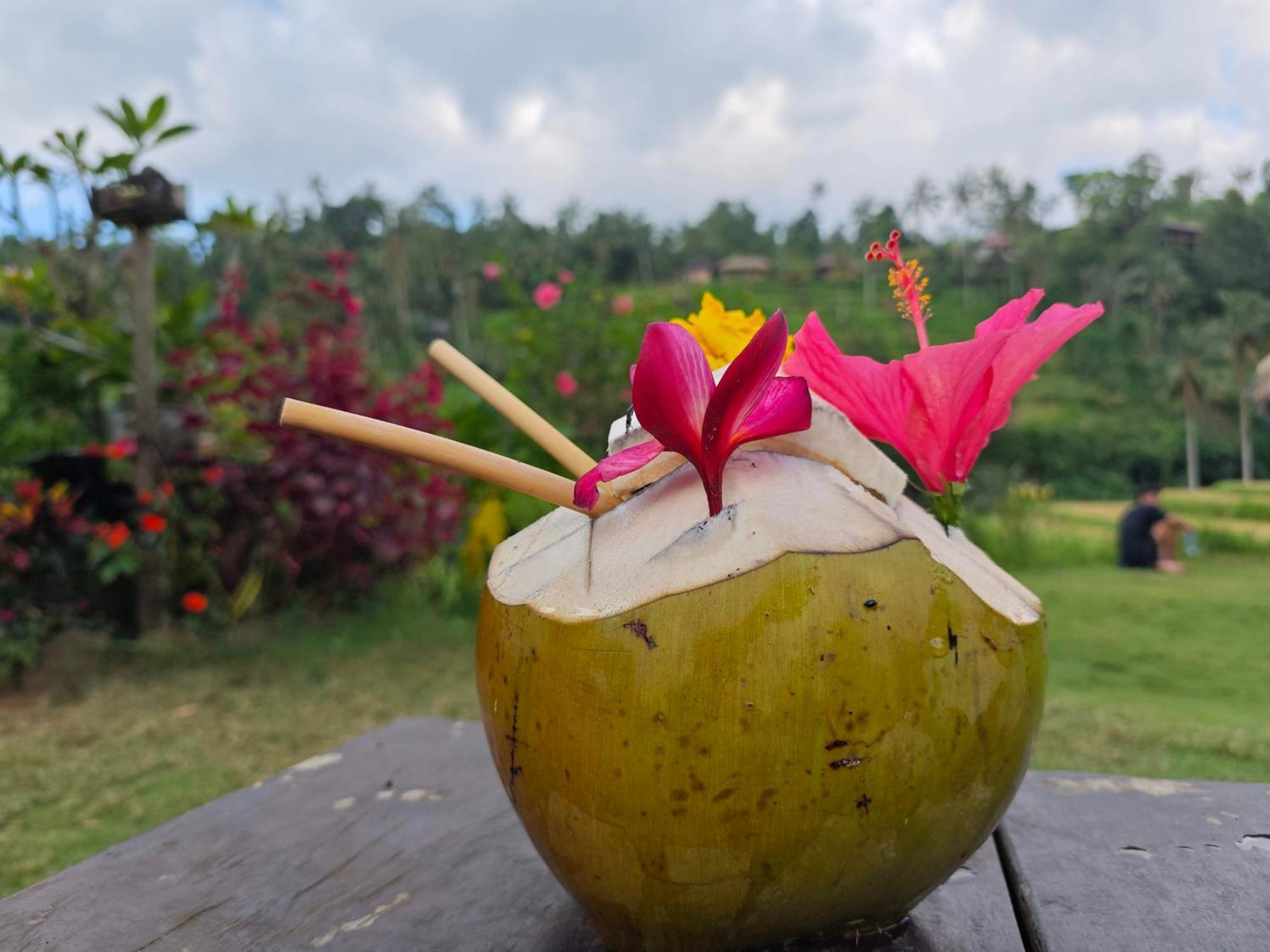 Ananda Lemukih Homestay Singaraja (Bali)
